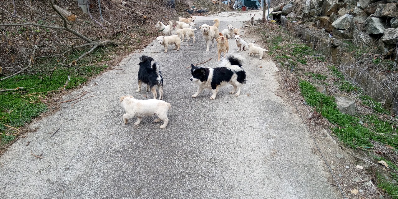 제발 구조해주세요