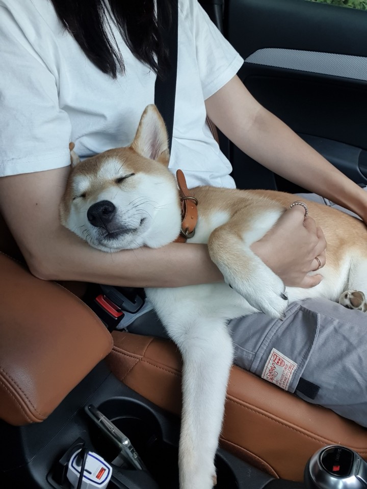 곤지암 두시 로꼬 1년 후기