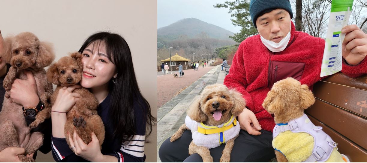 푸딩이(도순이) 랑 지낸지 3달 된 이야기