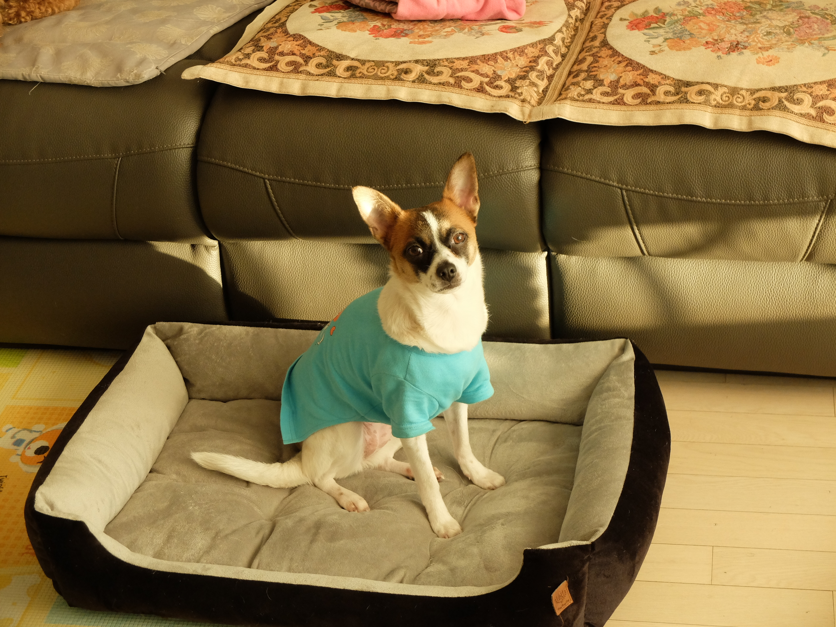 테리 3개월차