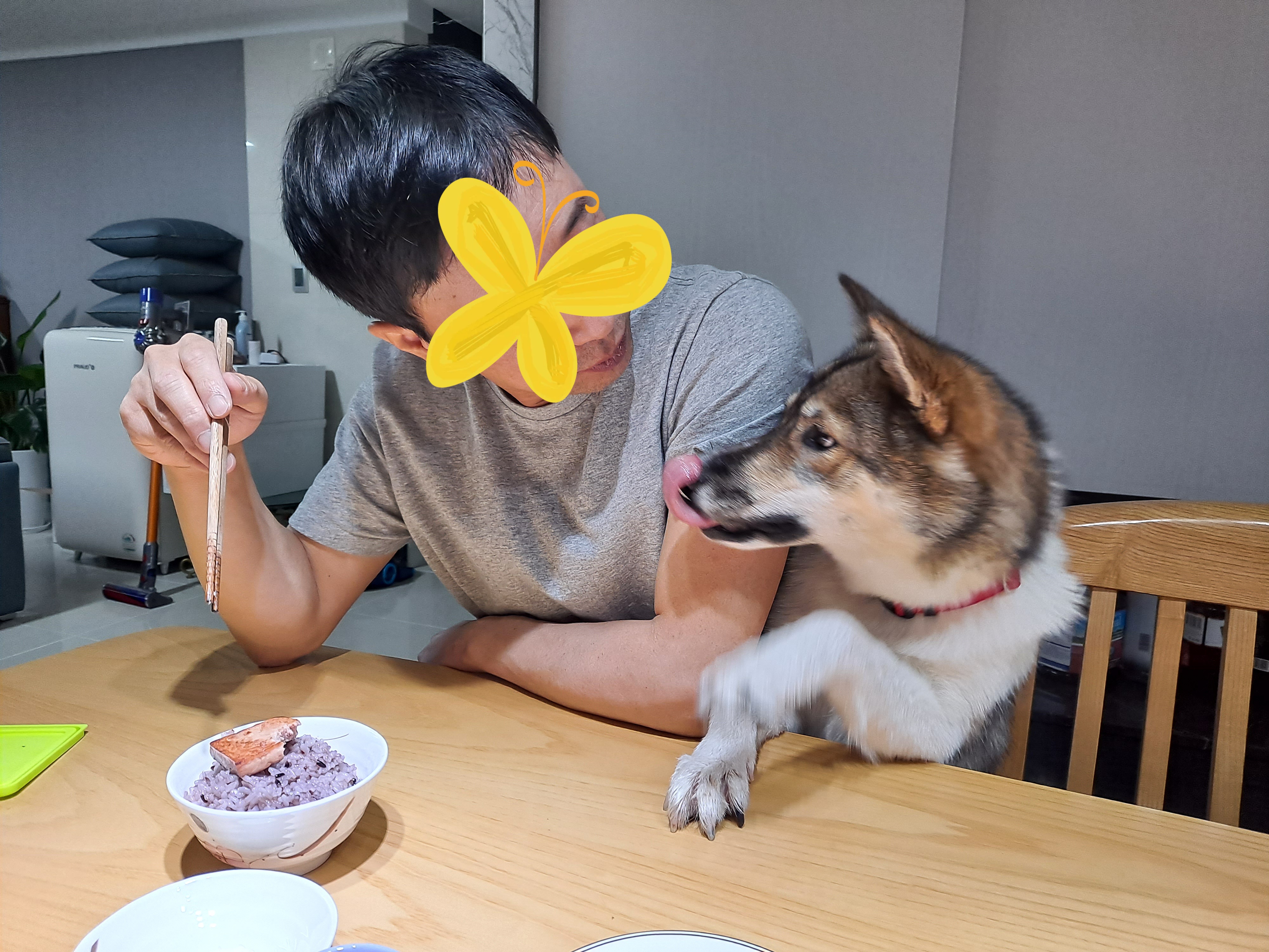 하디 임보 세달