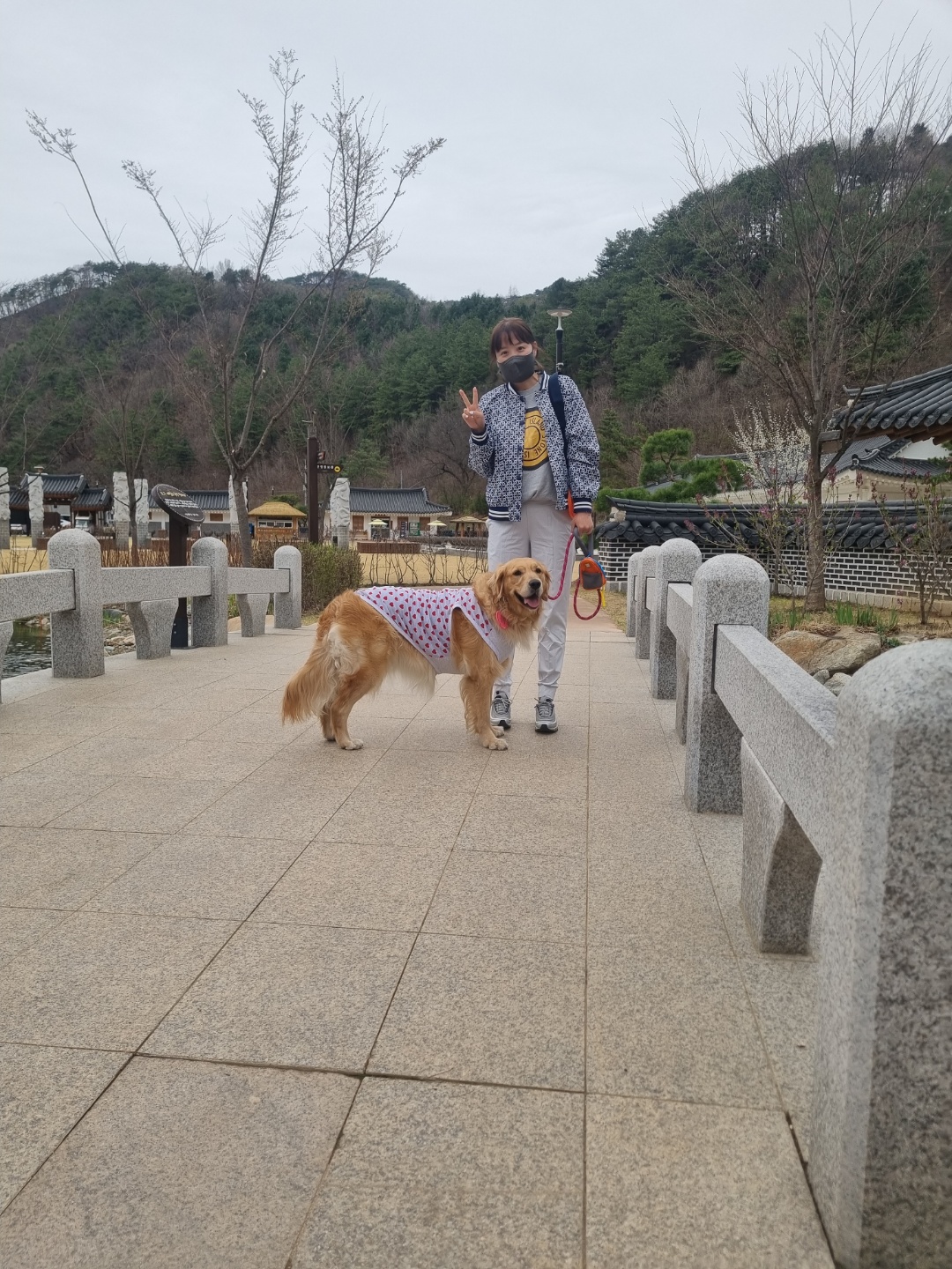달이네 입니다(고양-22,다오)