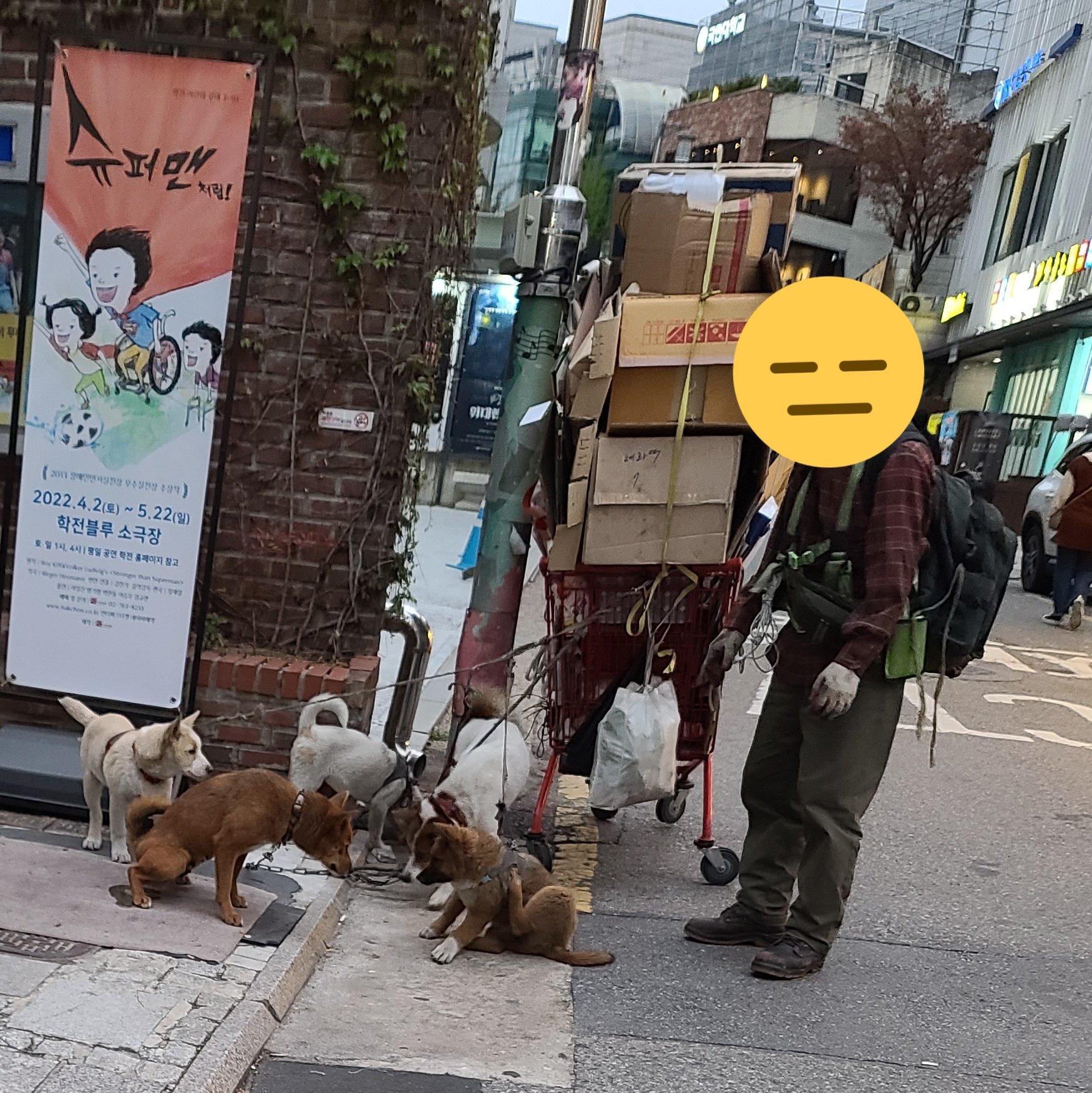 혜화역 강아지 5마리 방치학대 제보합니다