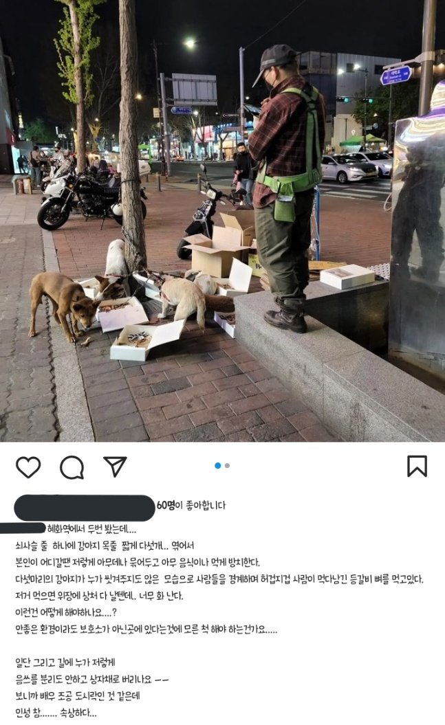 혜화역 강아지 5마리 방치학대 제보합니다