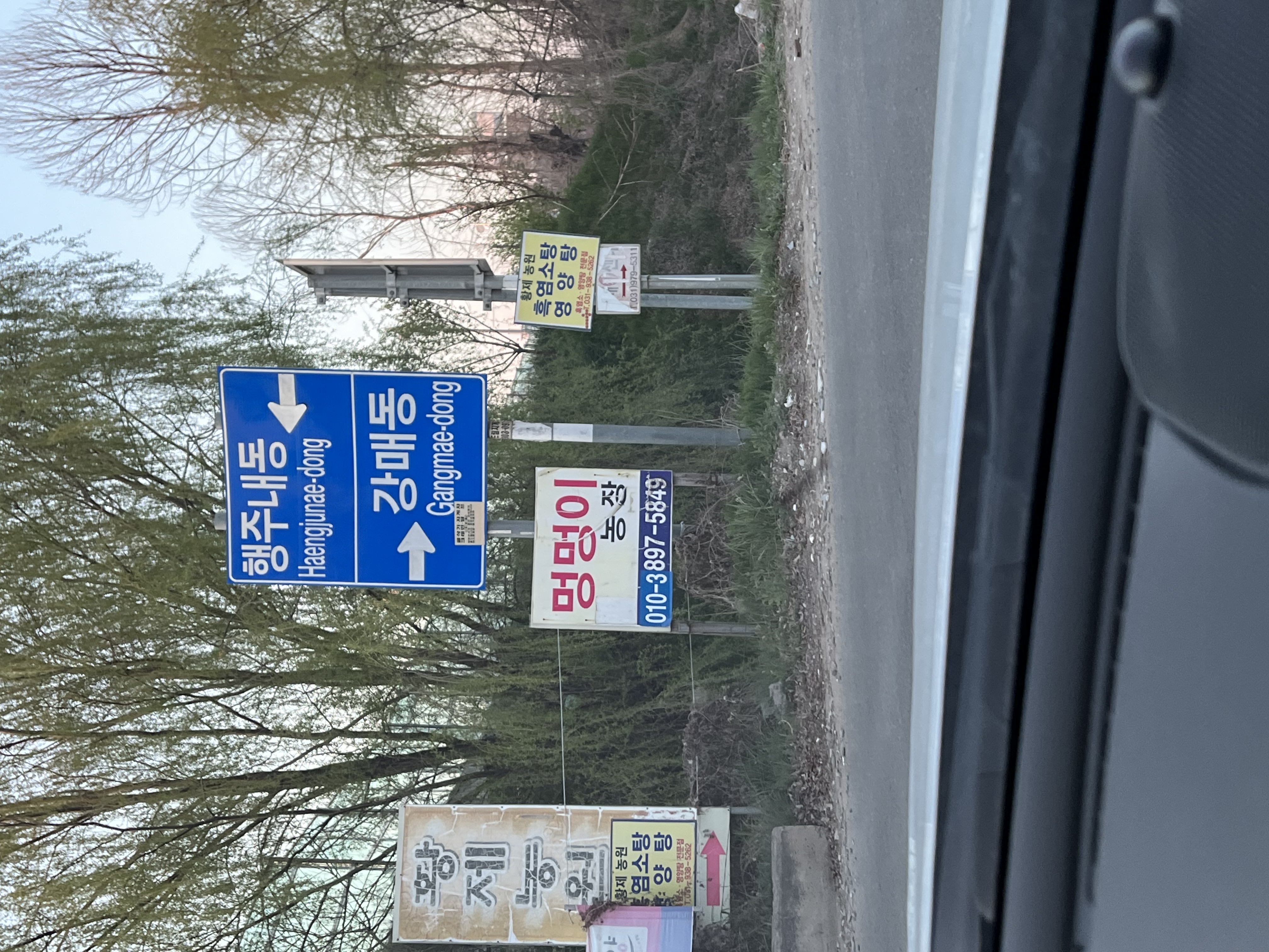 고양시 불법 의심 개농장