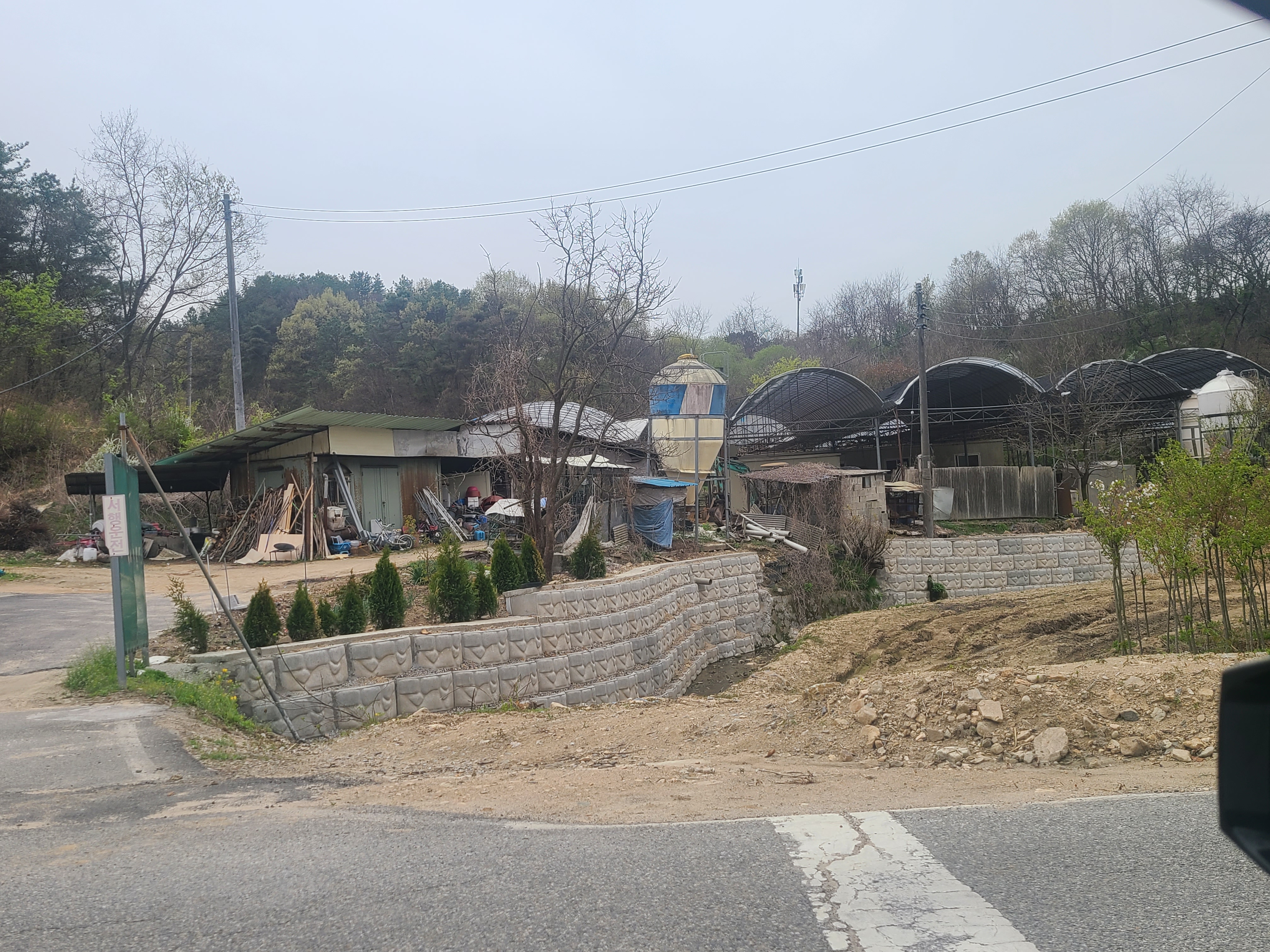움직이지도못할만큼 작은뜬장안에 강아지세마리
