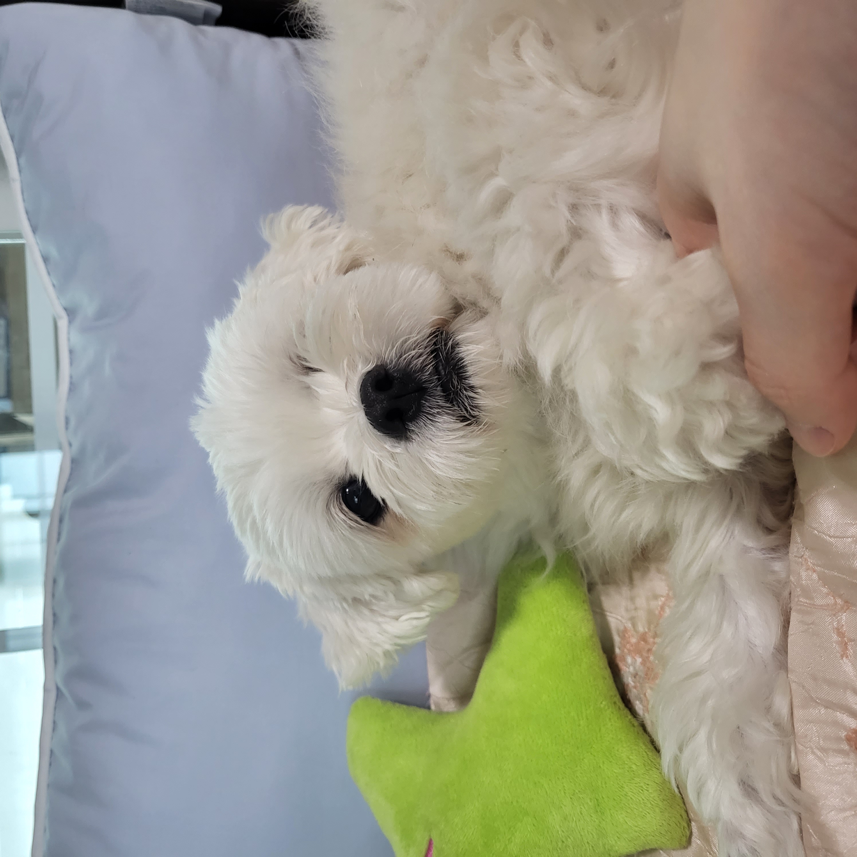 홍이와 지낸지 벌써 2년