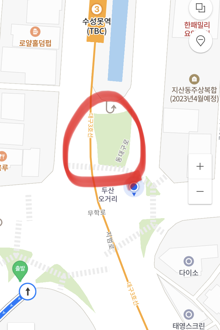팔차선 도로 한가운데 길고양이가 살아요