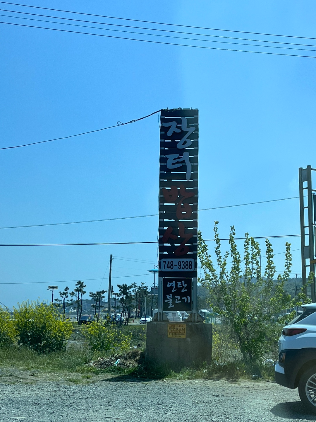 경주 감포 식당에 리트리버 및 강아지 7마리가 철장 속에 갇혀 천막이 덮혀있습니다