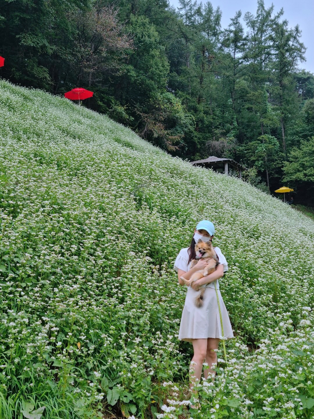 짜장이 입양 1년 후기(곤지암-송일)