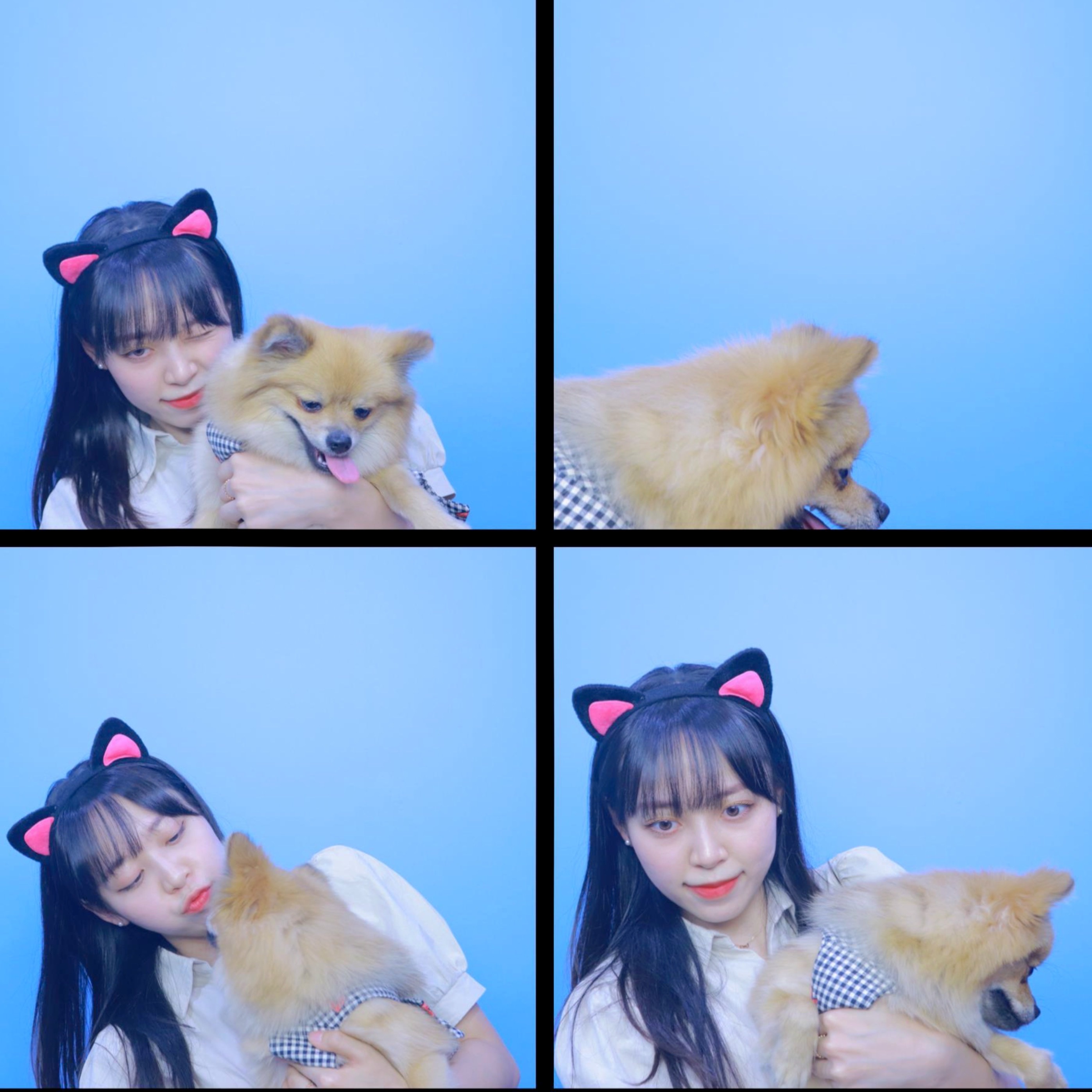 짜장이 입양 1년 후기(곤지암-송일)