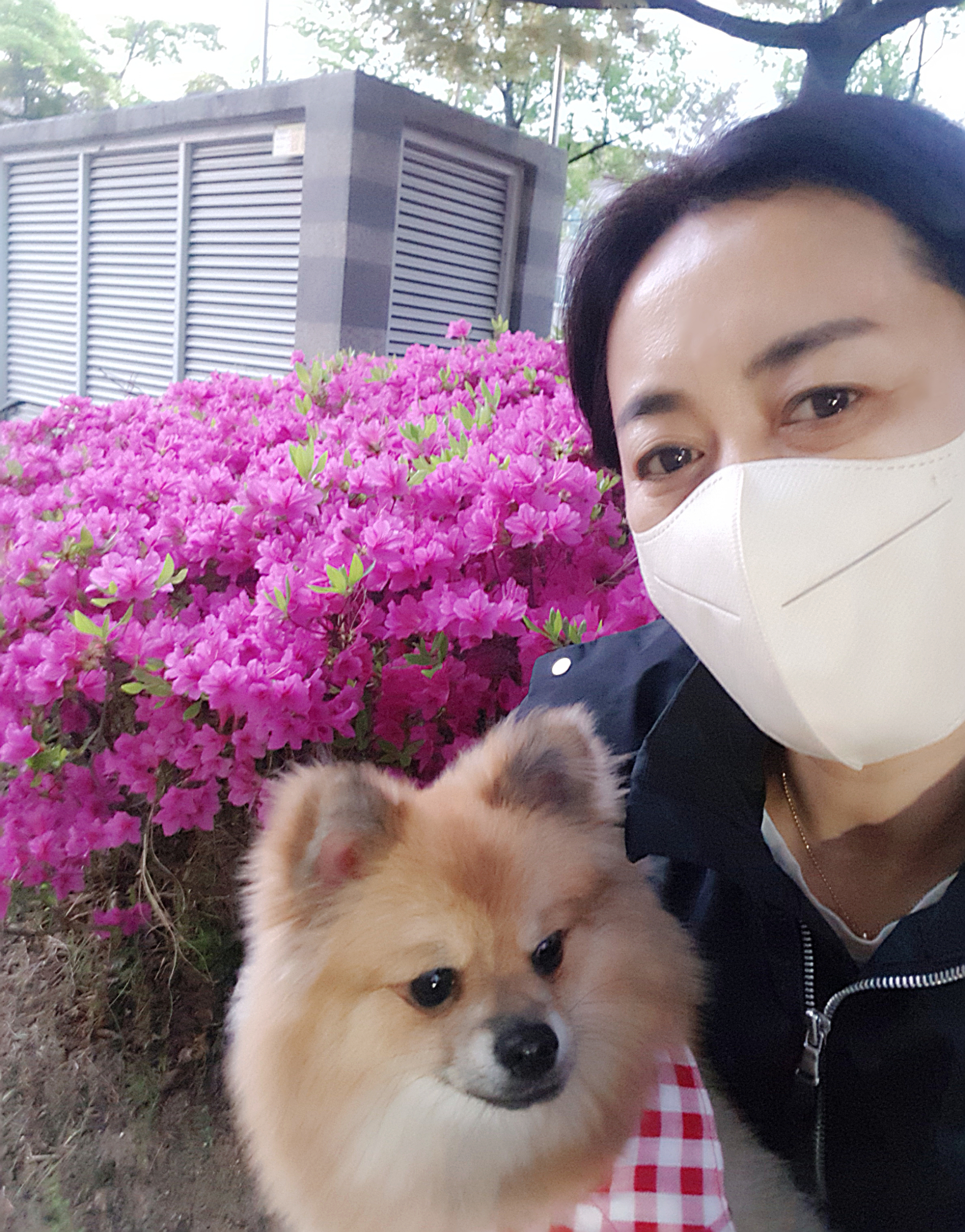 짜장이 입양 1년 후기(곤지암-송일)