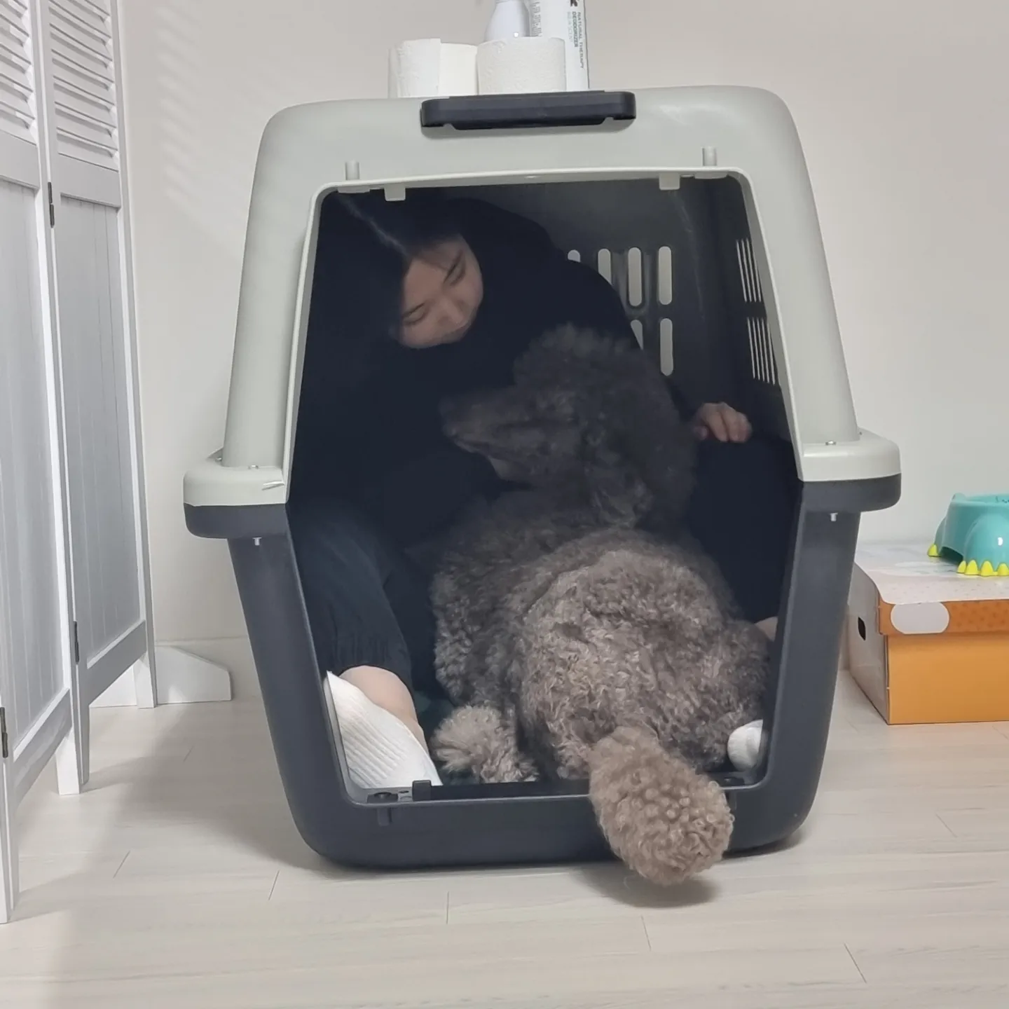 테라가 가족이 된 지 삼개월이 지났어요~~