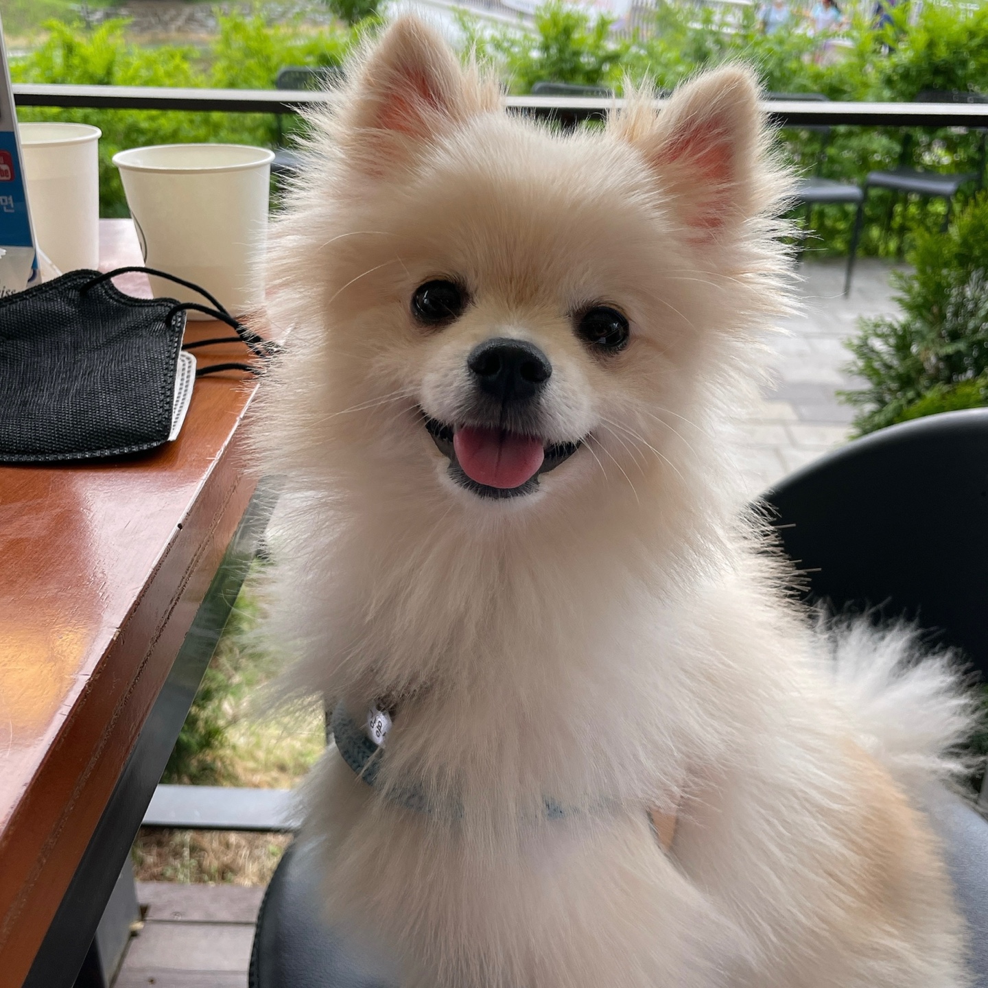 용식이(송오) 어느덧 1년 !