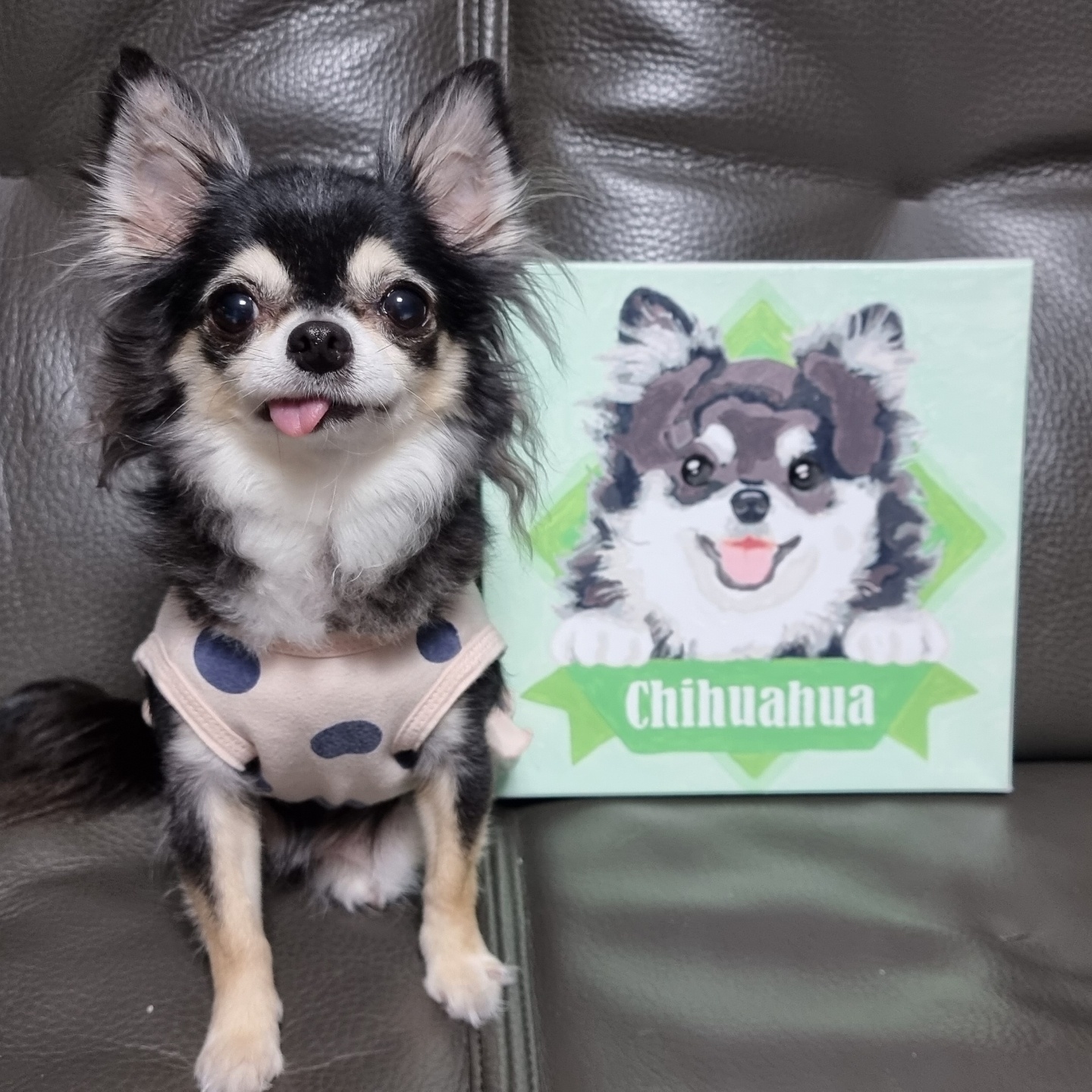왕별이의 1년...너무 행복합니다^^