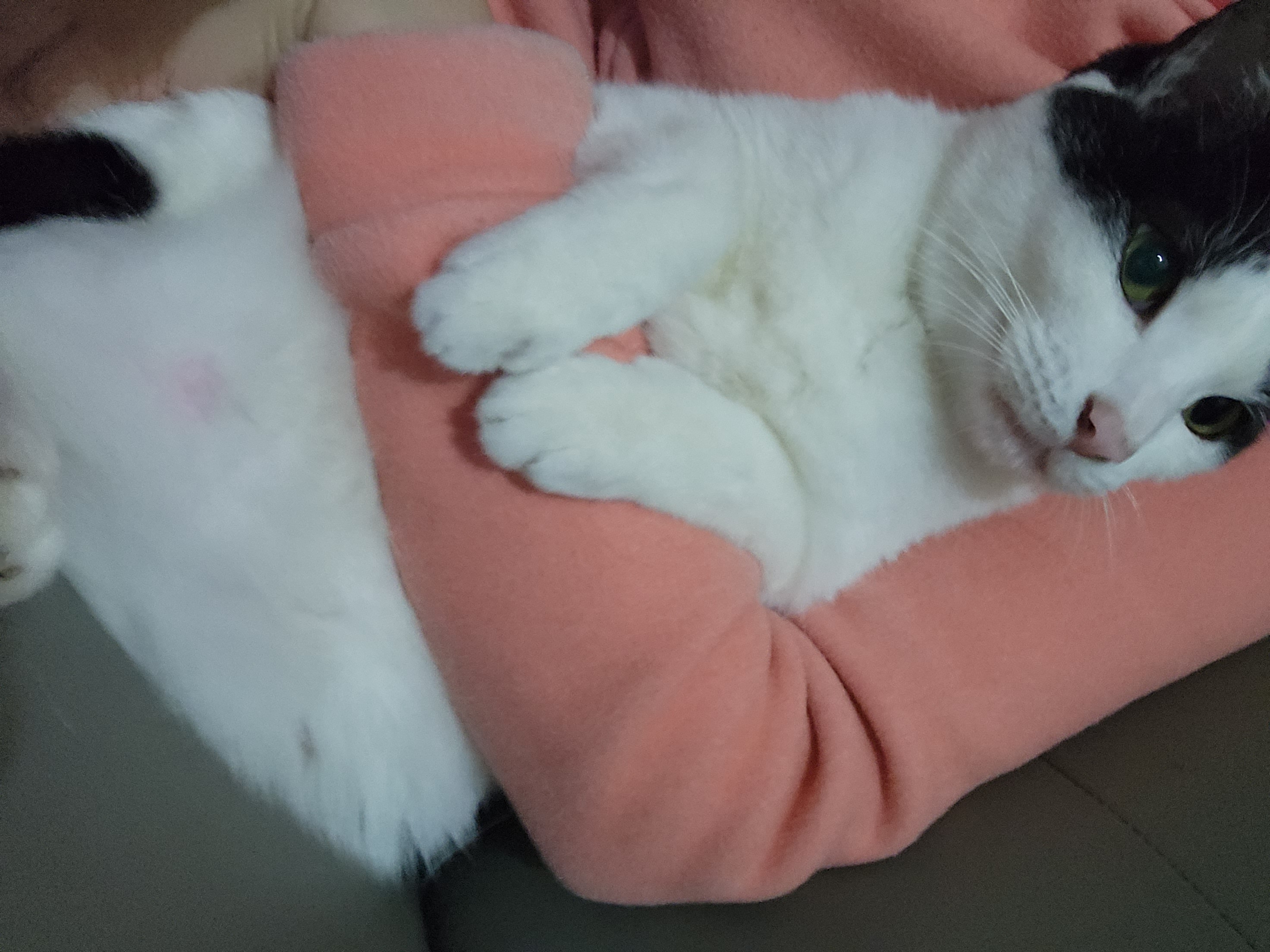 봄과여름 사이 새싹이네랍니당:)