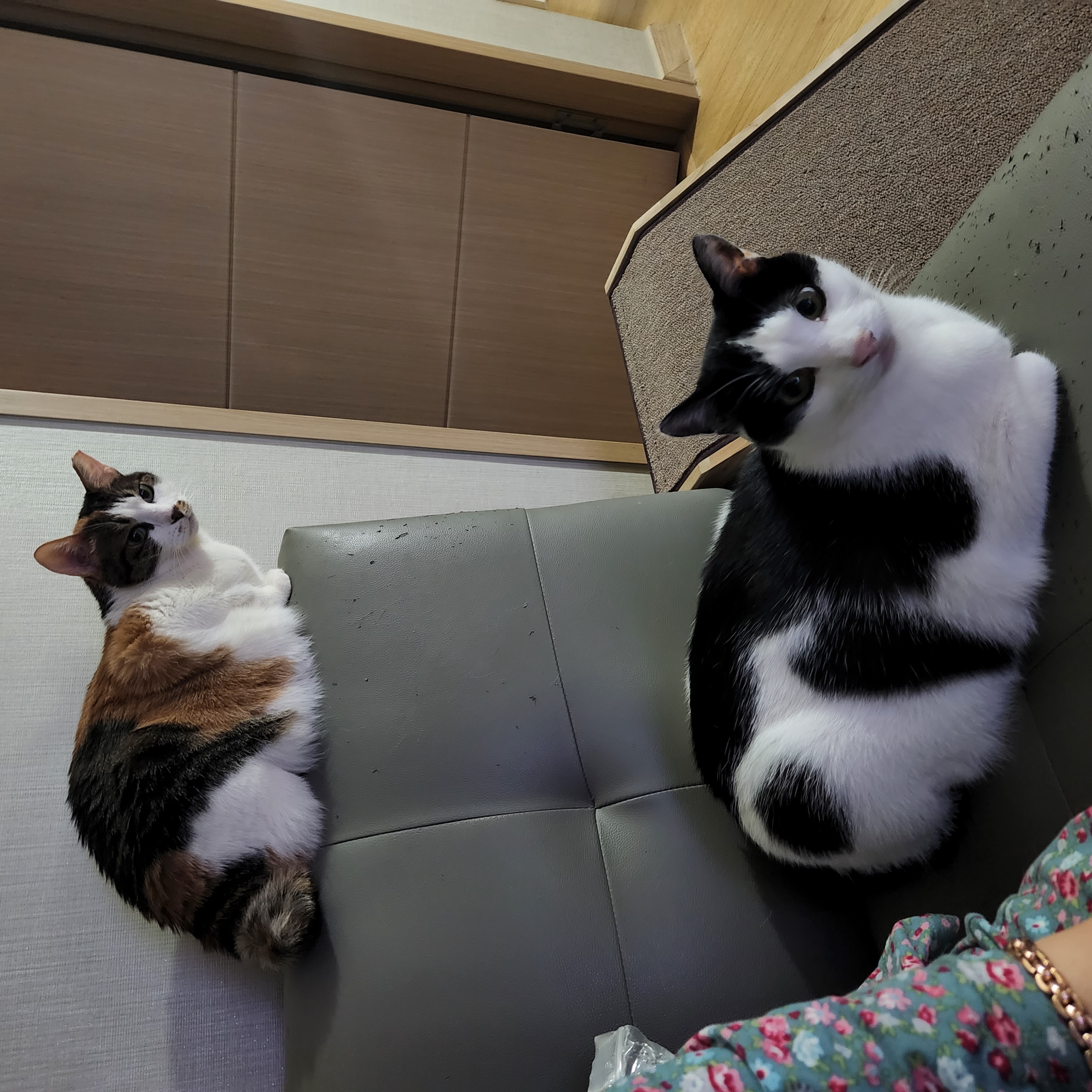 봄과여름 사이 새싹이네랍니당:)