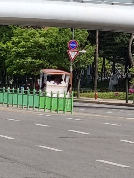 일산 원마운트 도로에 마차가 다닙니다.