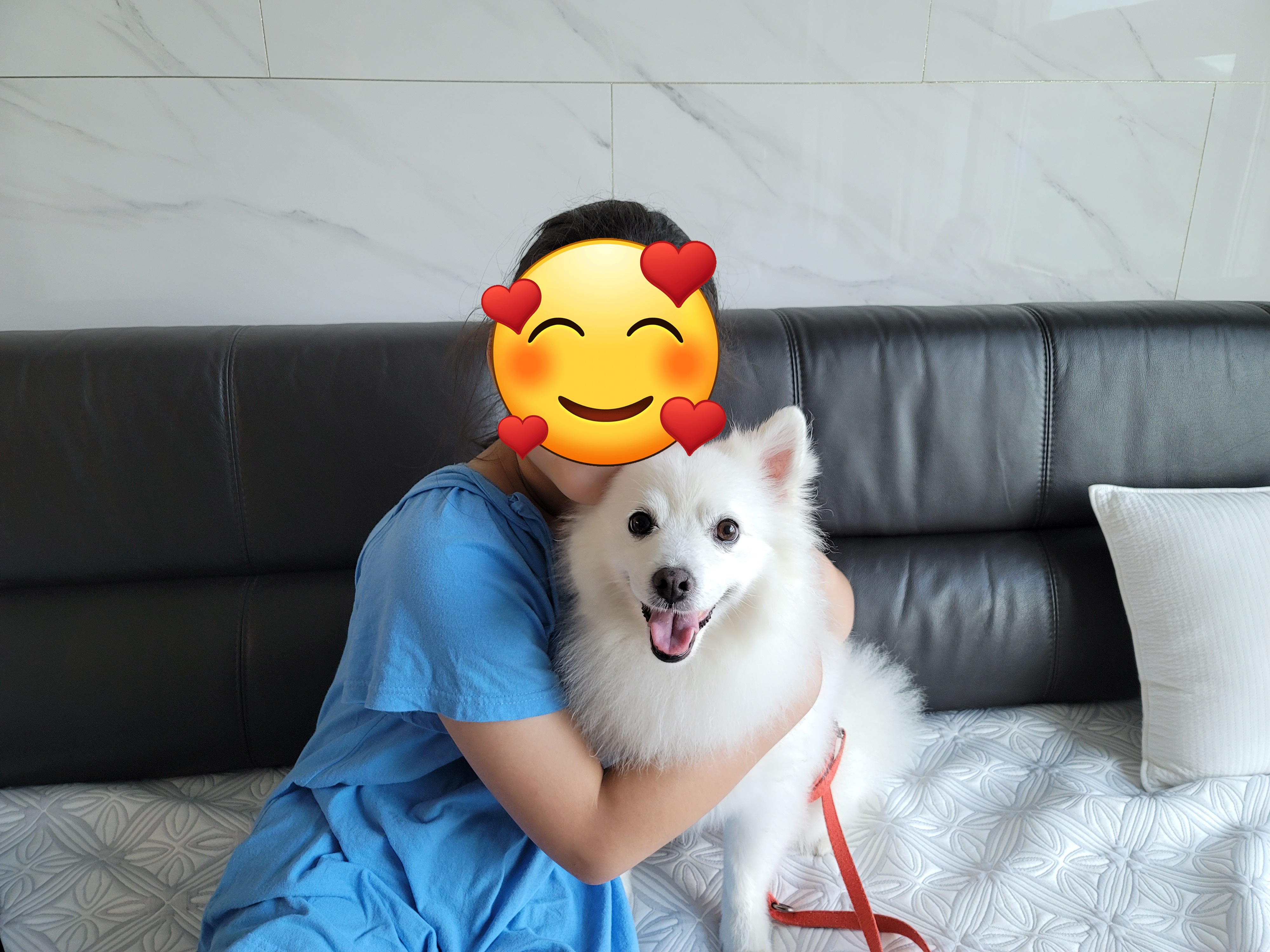 [입양2주년후기] 동화(구.바밤바)와 함께한 2주년 이야기 전합니다.