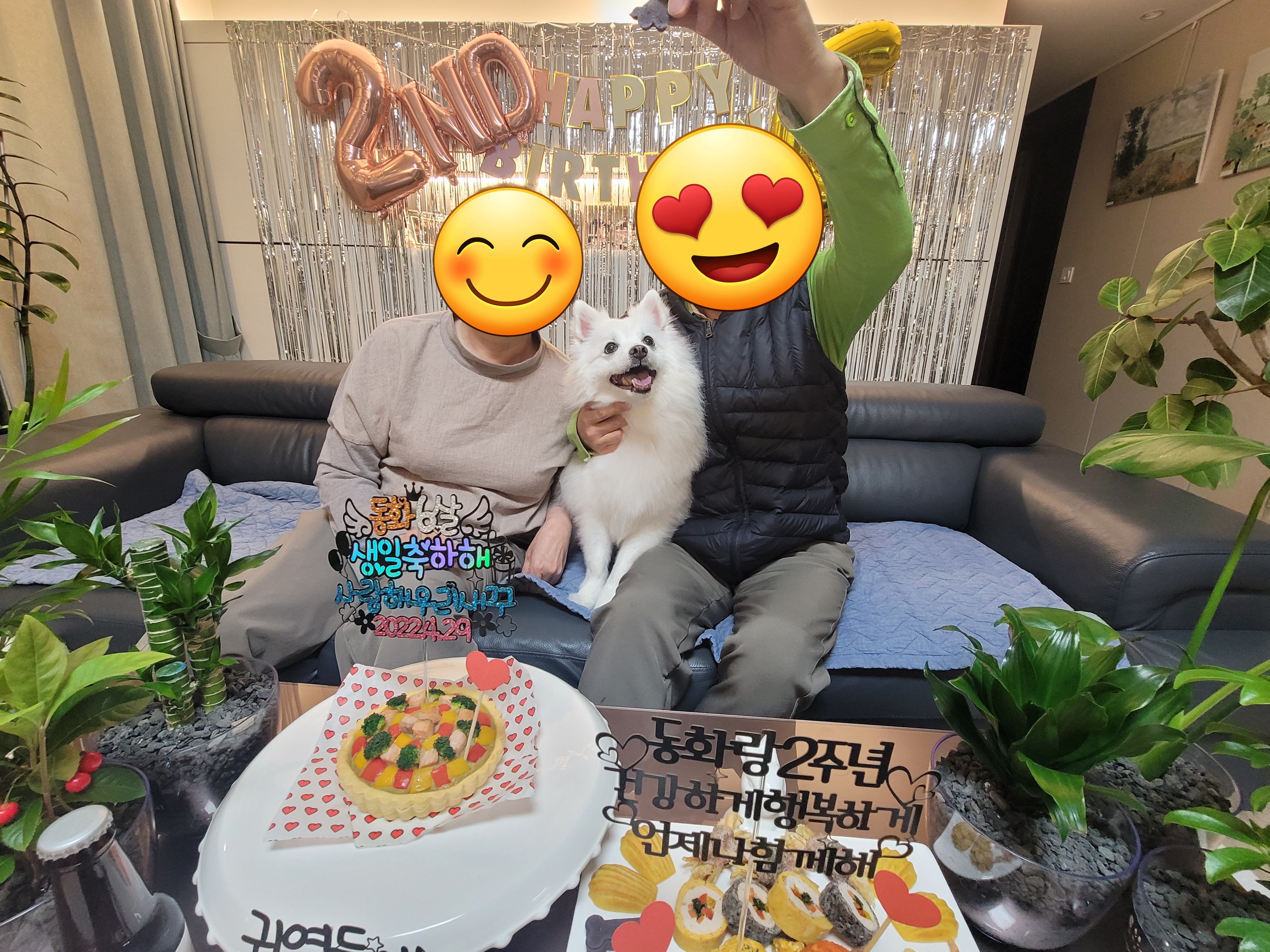 [입양2주년후기] 동화(구.바밤바)와 함께한 2주년 이야기 전합니다.