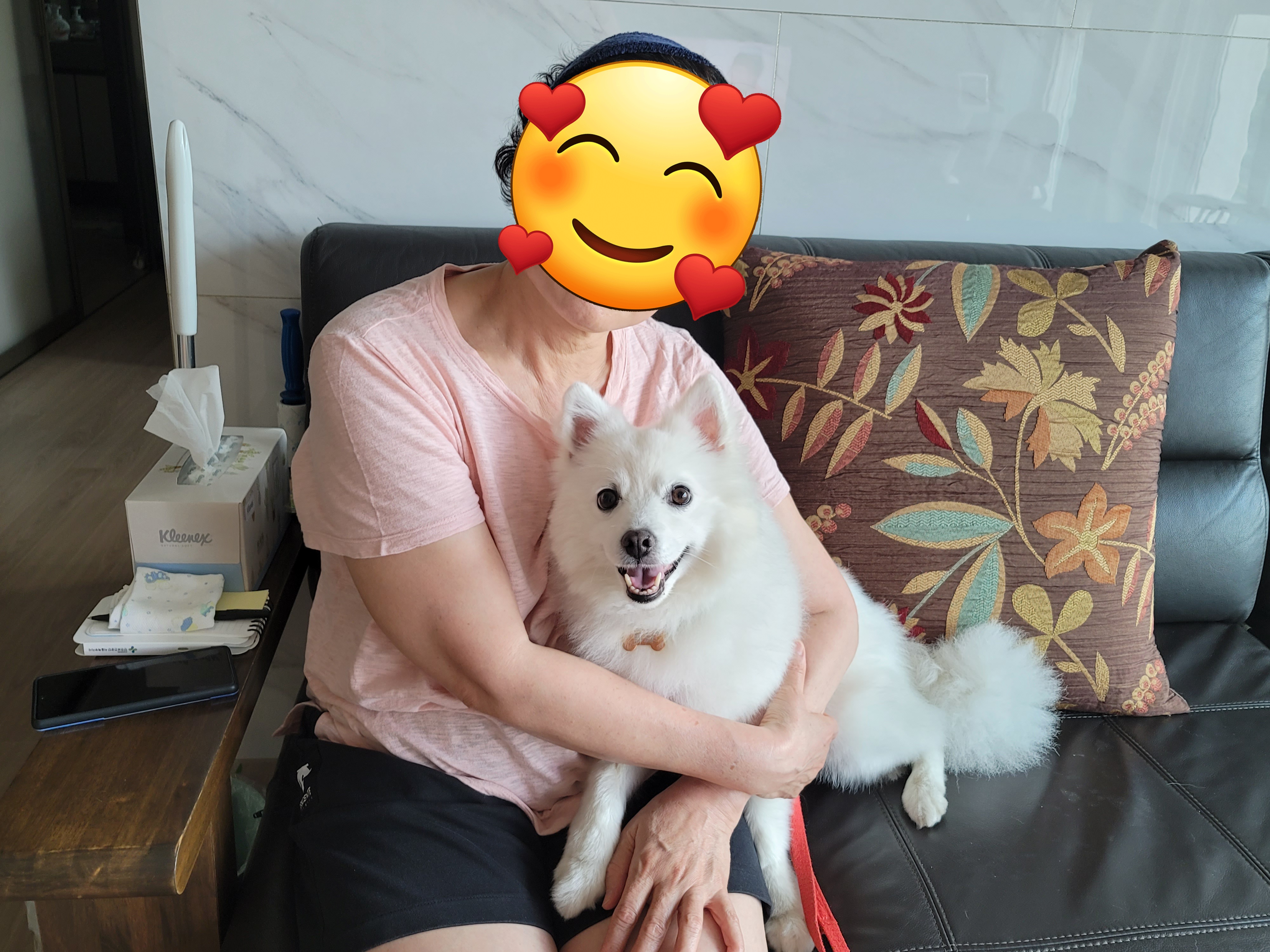 [입양2주년후기] 동화(구.바밤바)와 함께한 2주년 이야기 전합니다.