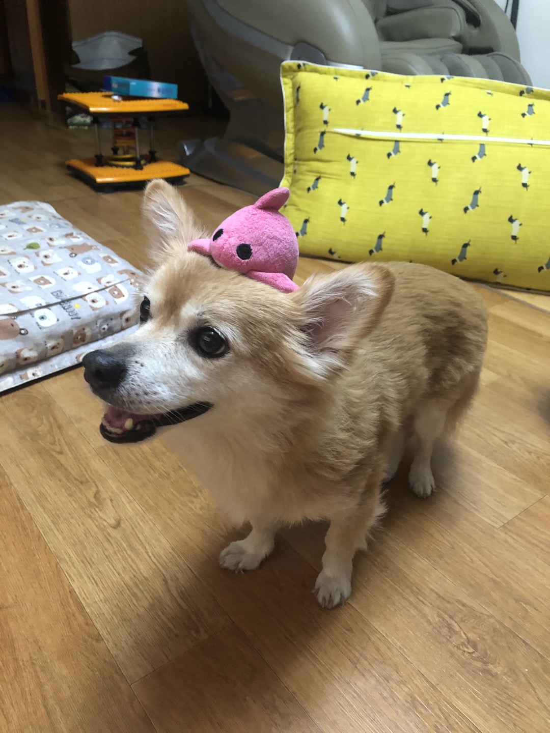 동자 왔어요~