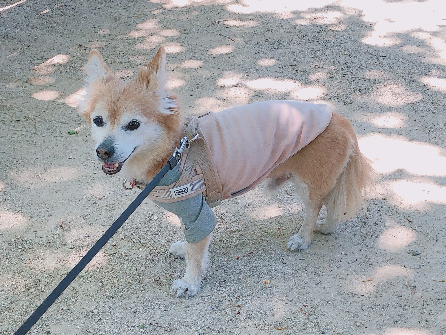 동자 왔어요~