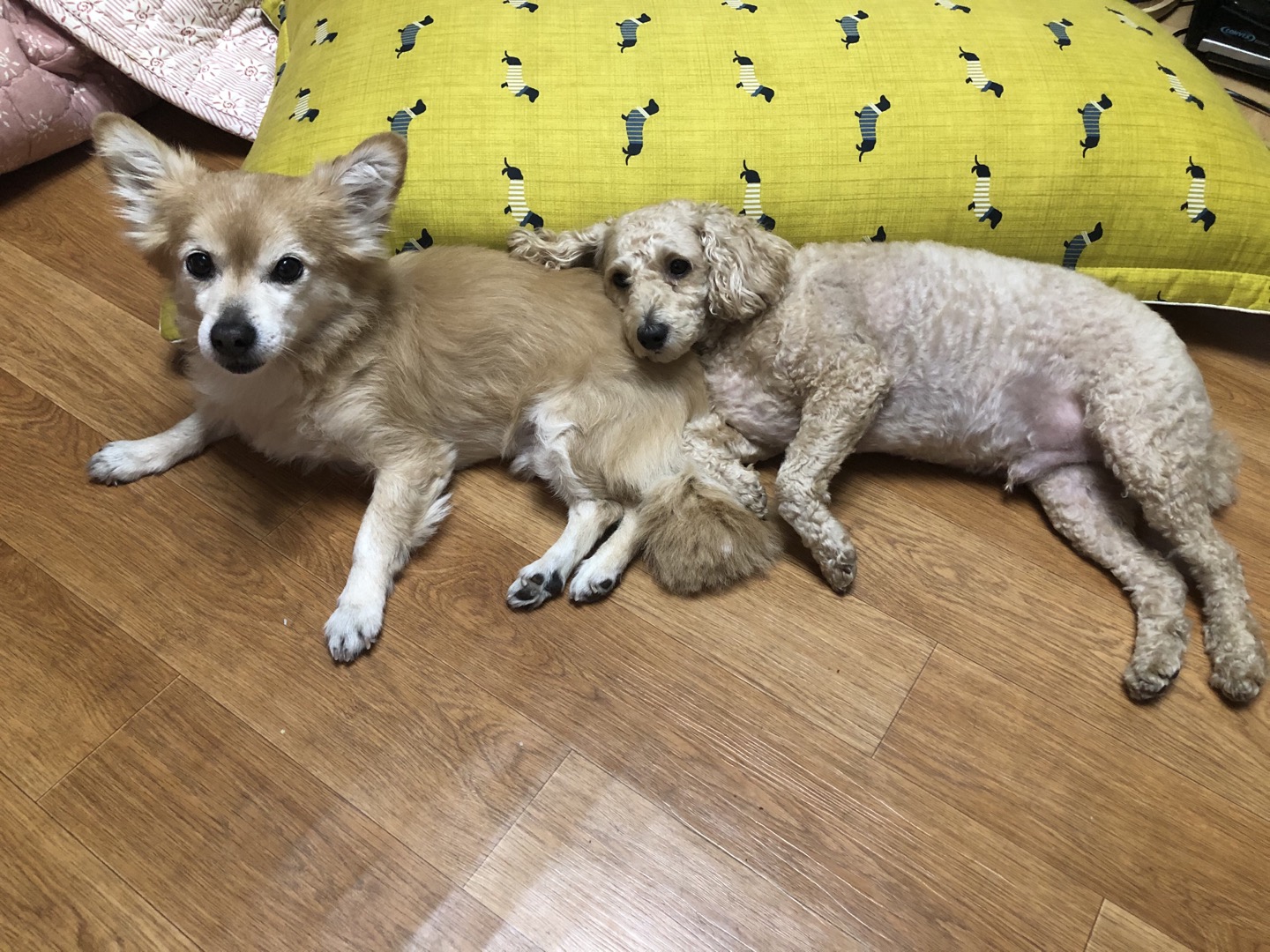 동자 왔어요~