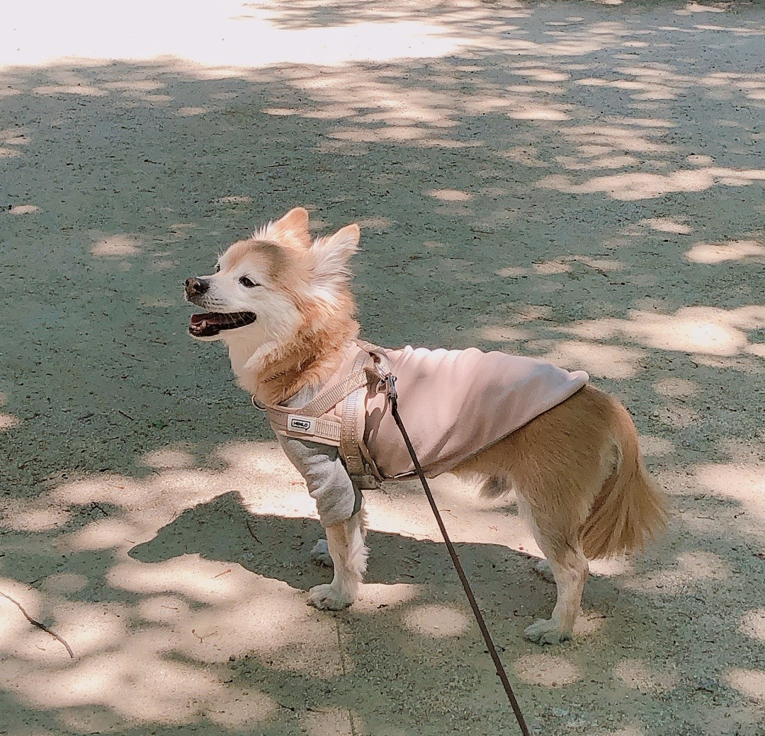 동자 왔어요~