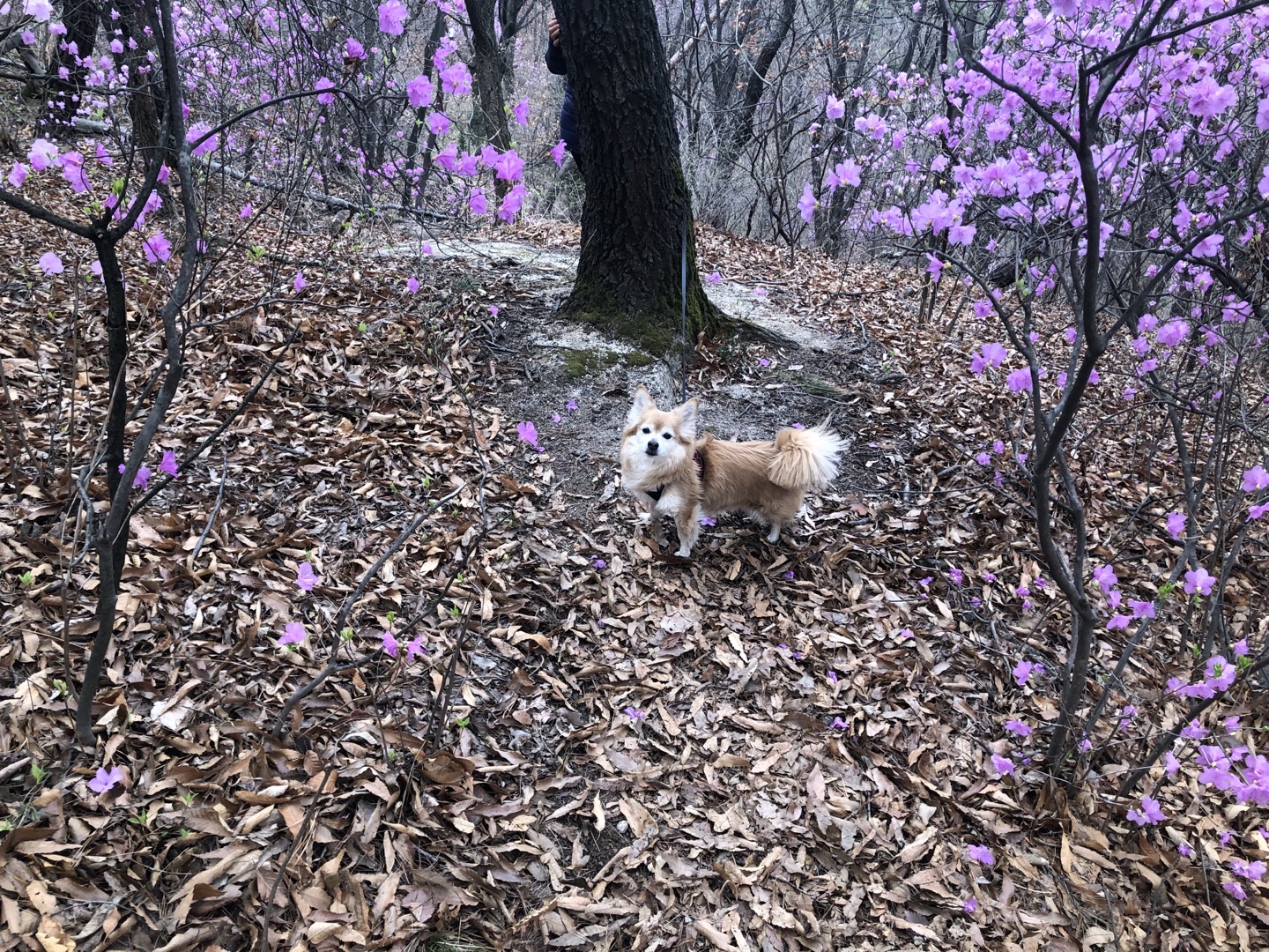 동자 왔어요~