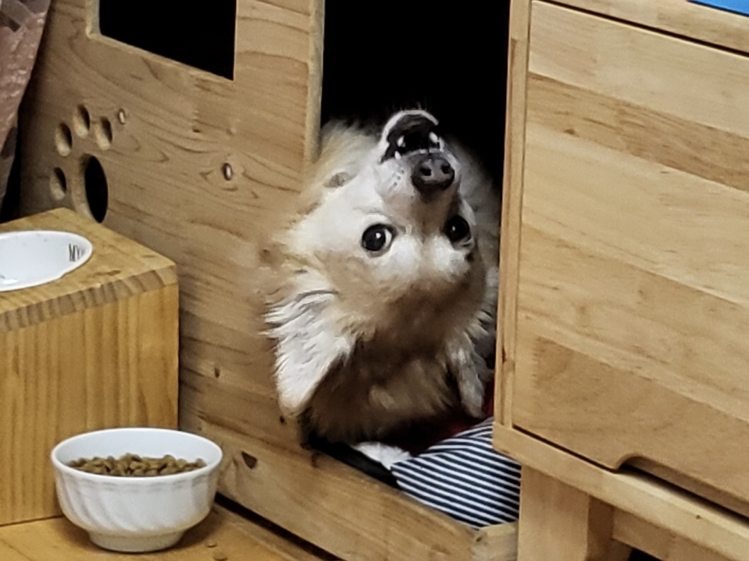동자 왔어요~