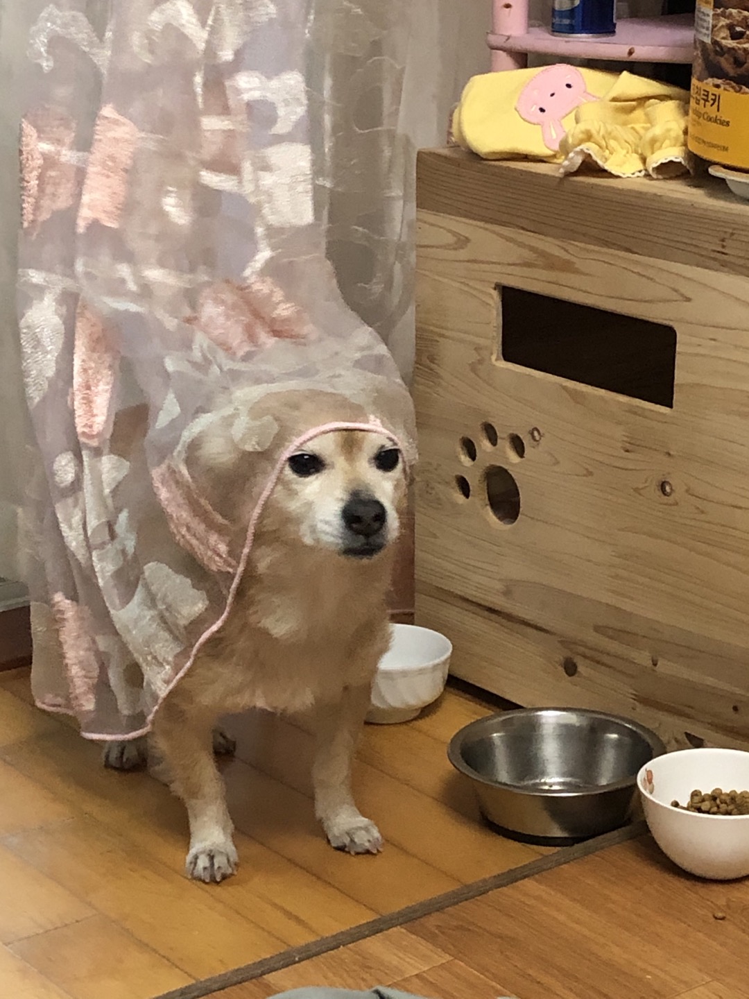 동자 왔어요~