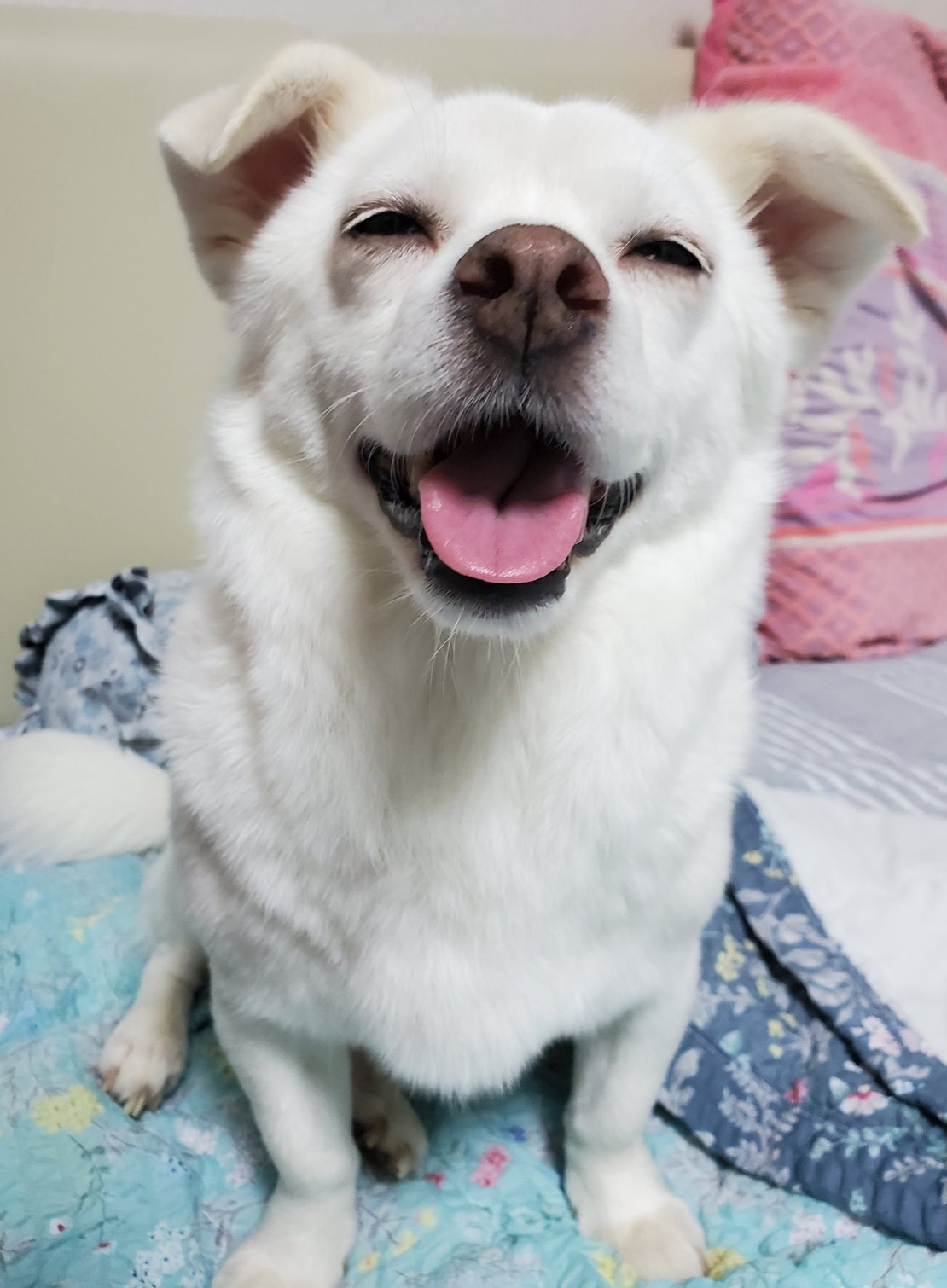 흰자의 온도차