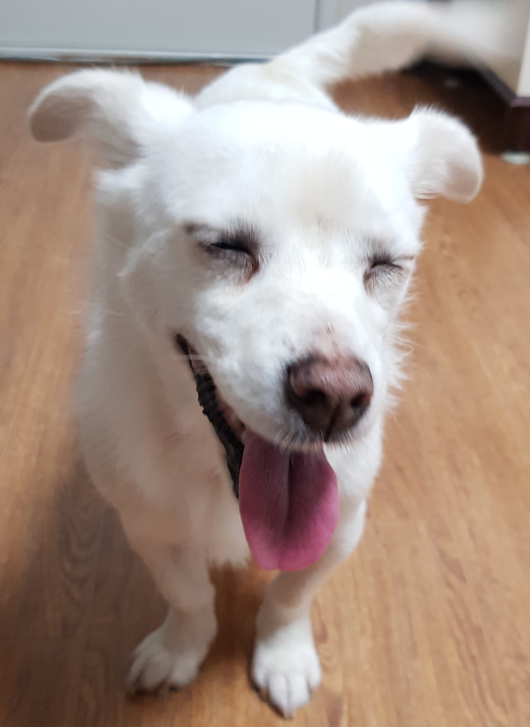 흰자의 온도차