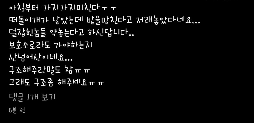 전라남도 나주시 남평에서 동물학대로 의심되는 일 이 발생 했습니다.