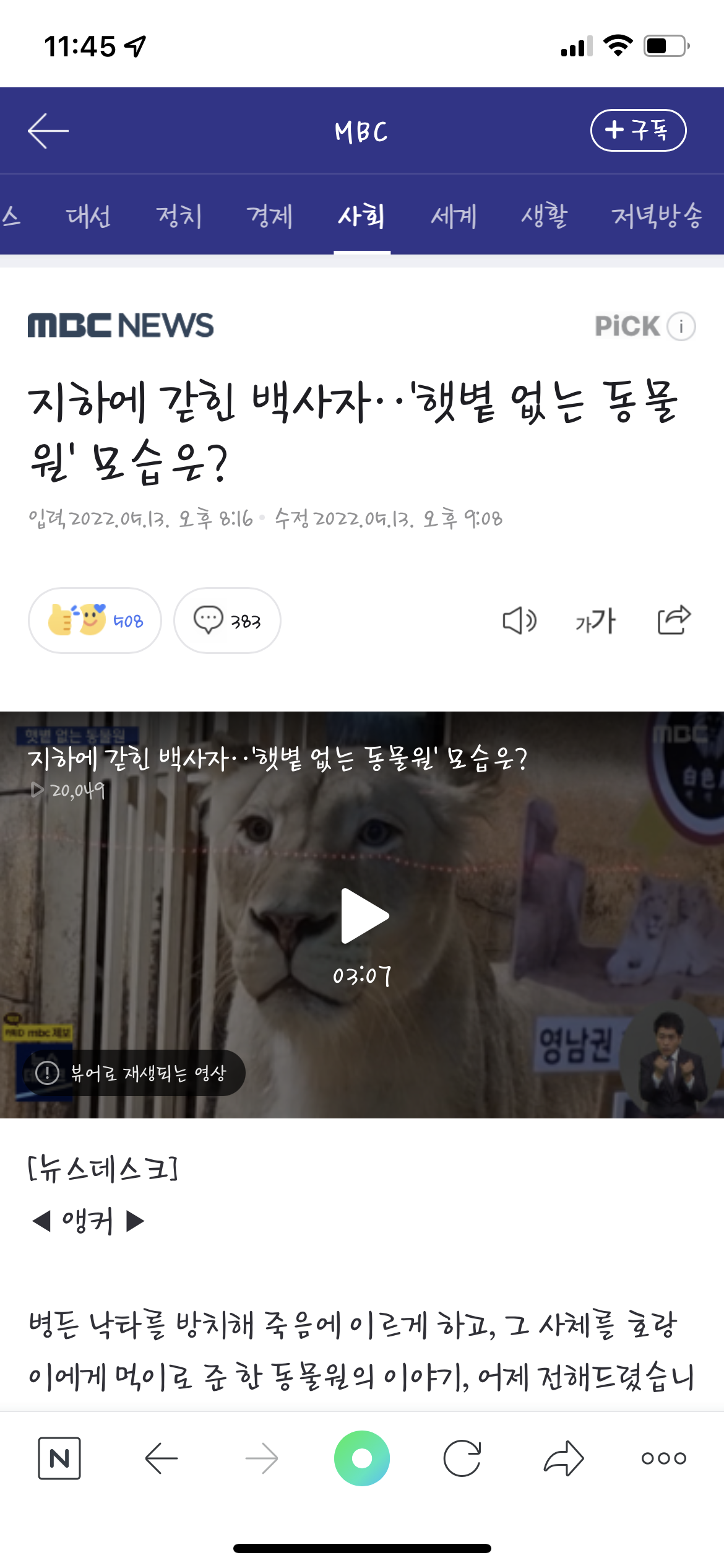 실내동물원 내 깡마른 백사자 학대