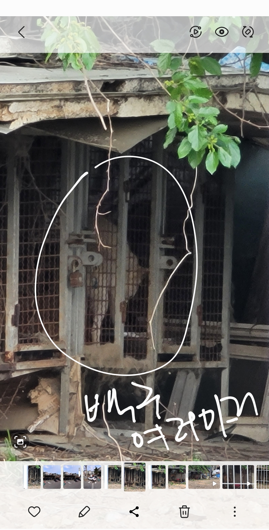 사유지 사육