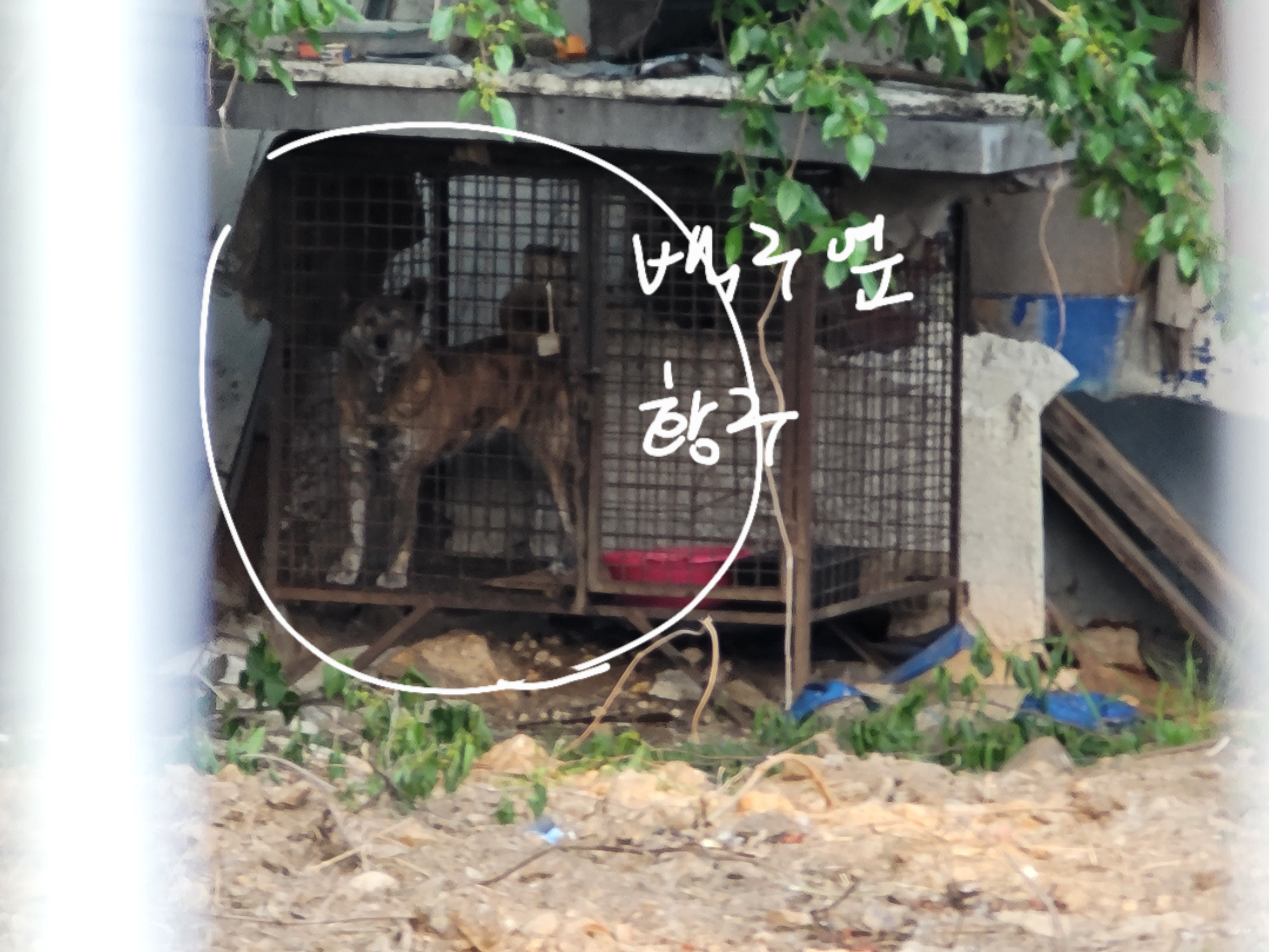 사유지 사육