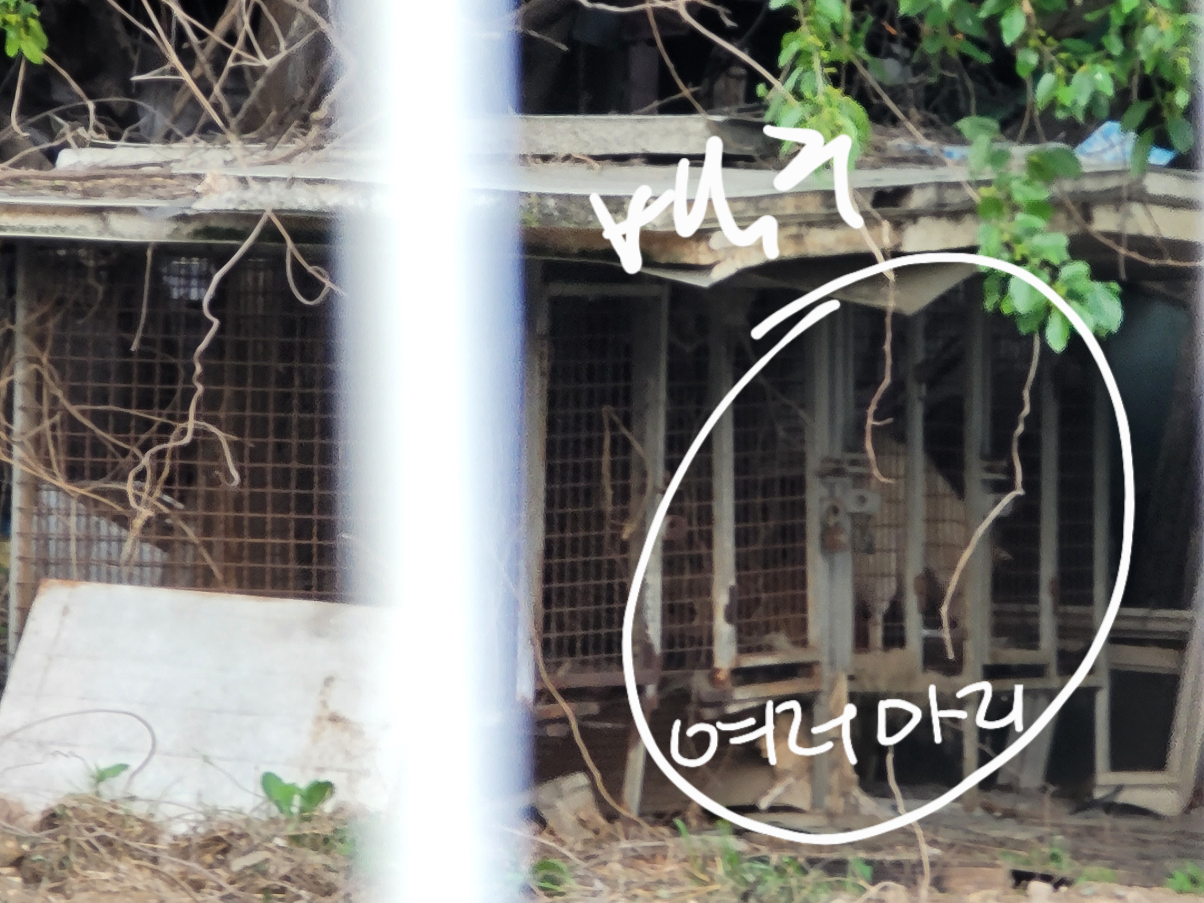 사유지 사육