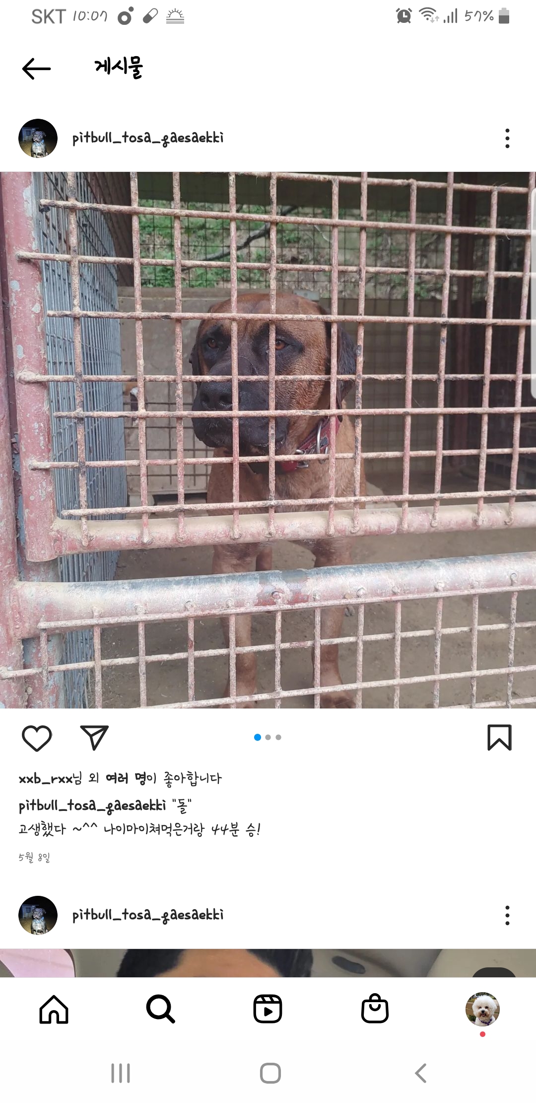 투견 의심