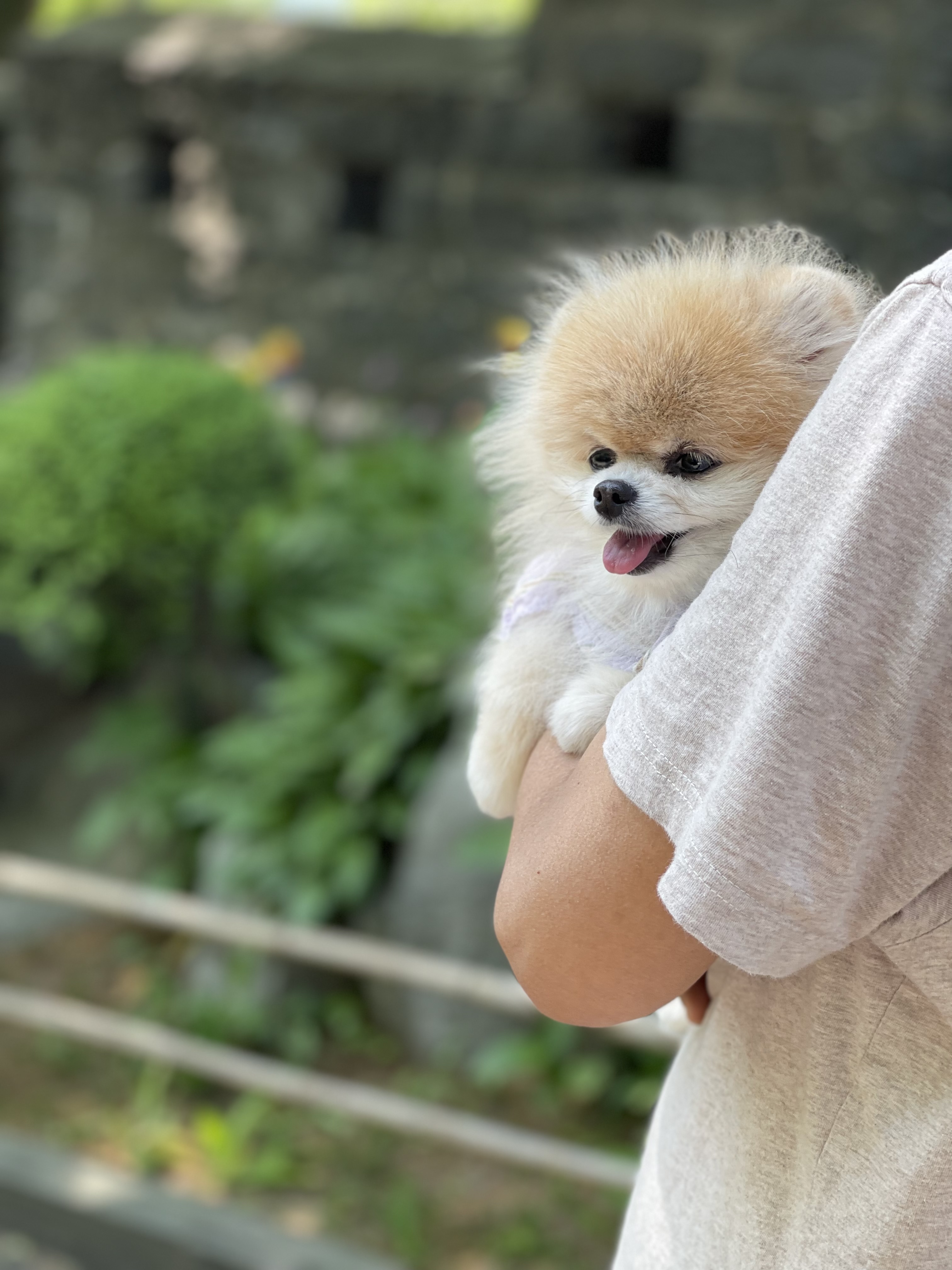 치콘이와 빵이^^