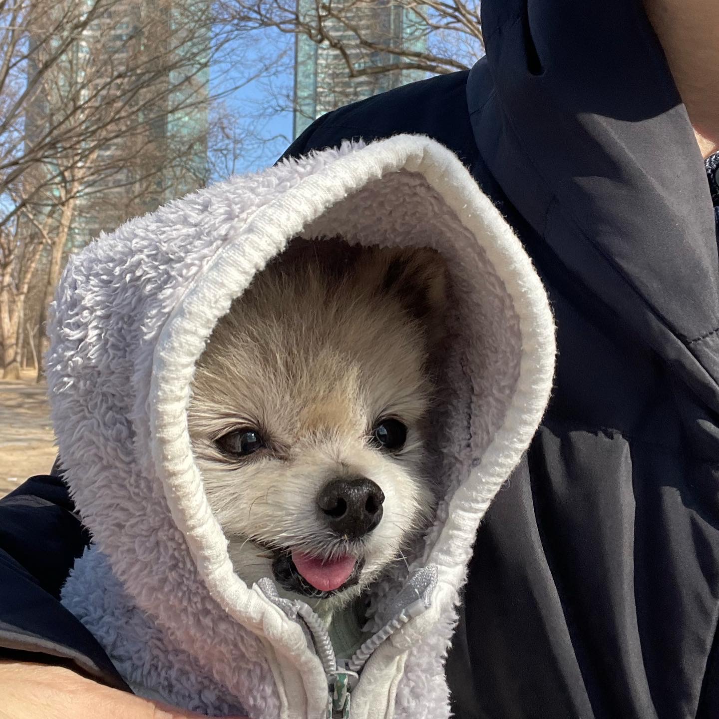 치콘이와 빵이^^