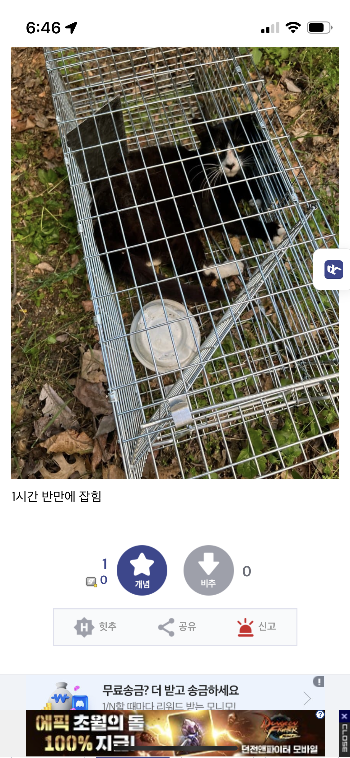 이주방사에 관한 내용입니다.