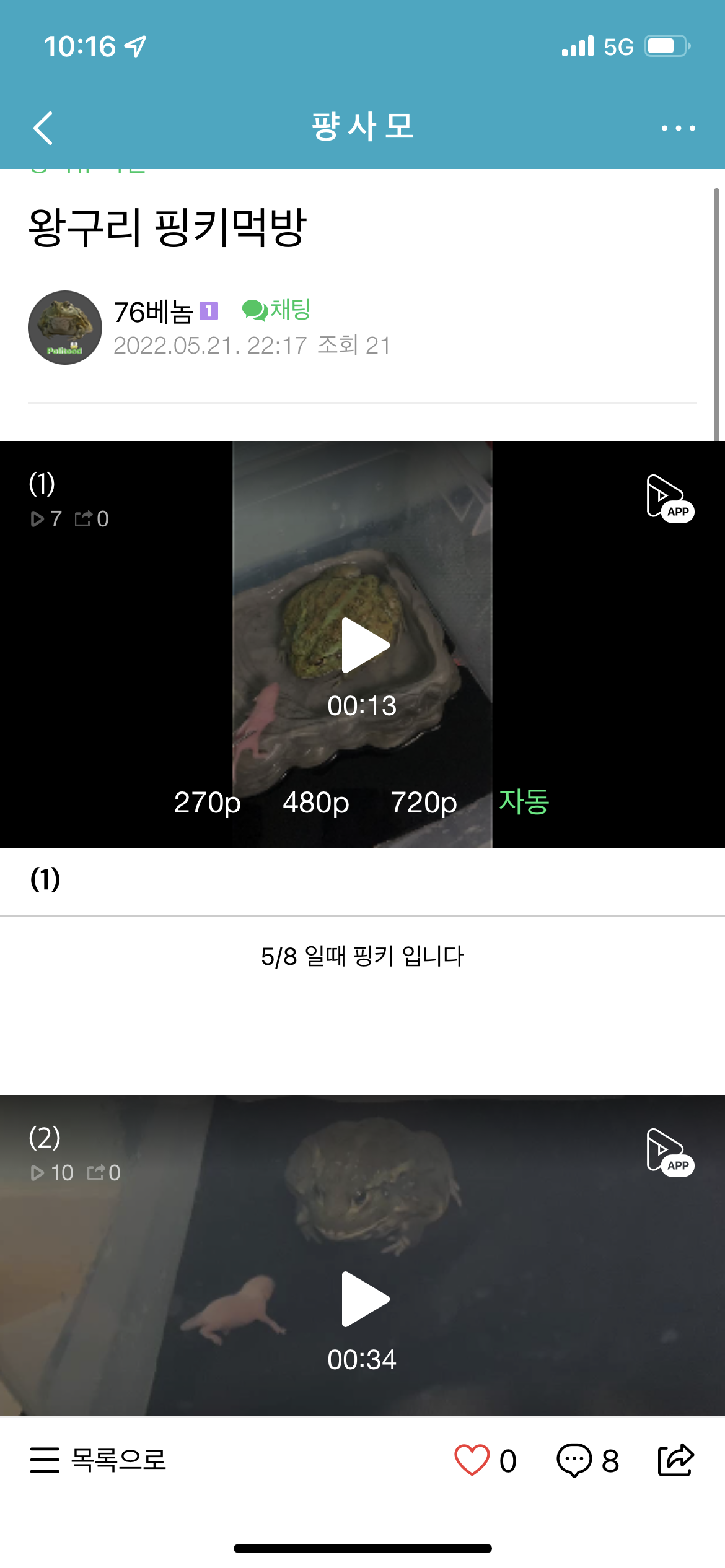 개구리에게 살아있는 새끼쥐를 먹이는 영상을 업로드 한 사람을 신고합니다.