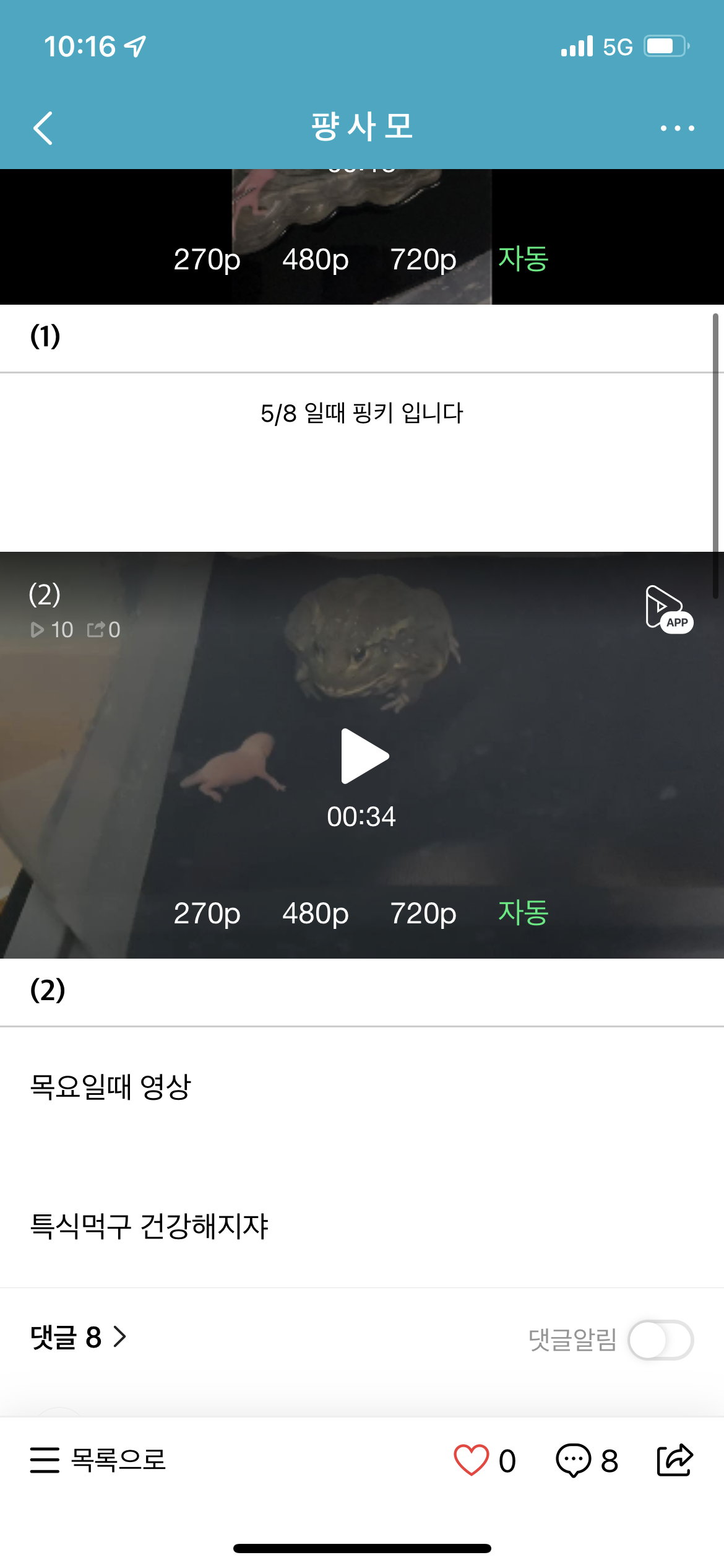 개구리에게 살아있는 새끼쥐를 먹이는 영상을 업로드 한 사람을 신고합니다.