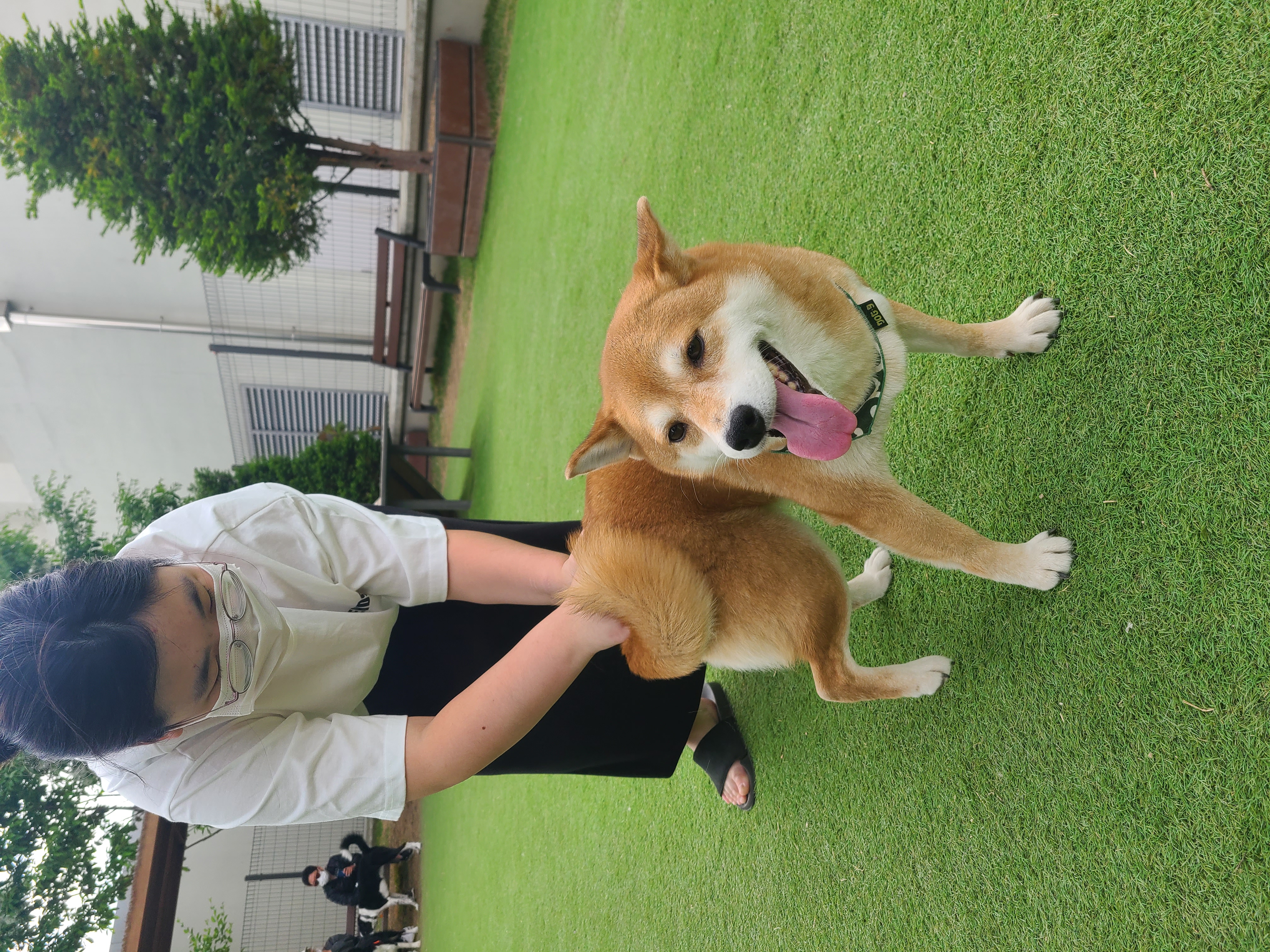 보리와 함께한 1년이 금방 지났네요.
