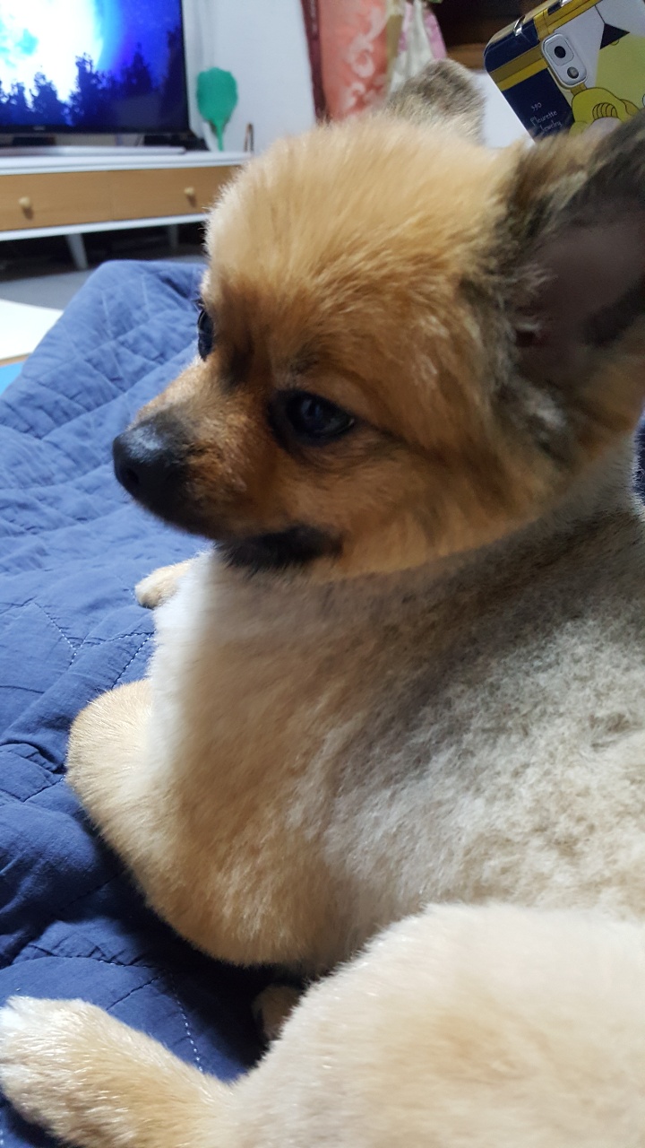 러비와 1년