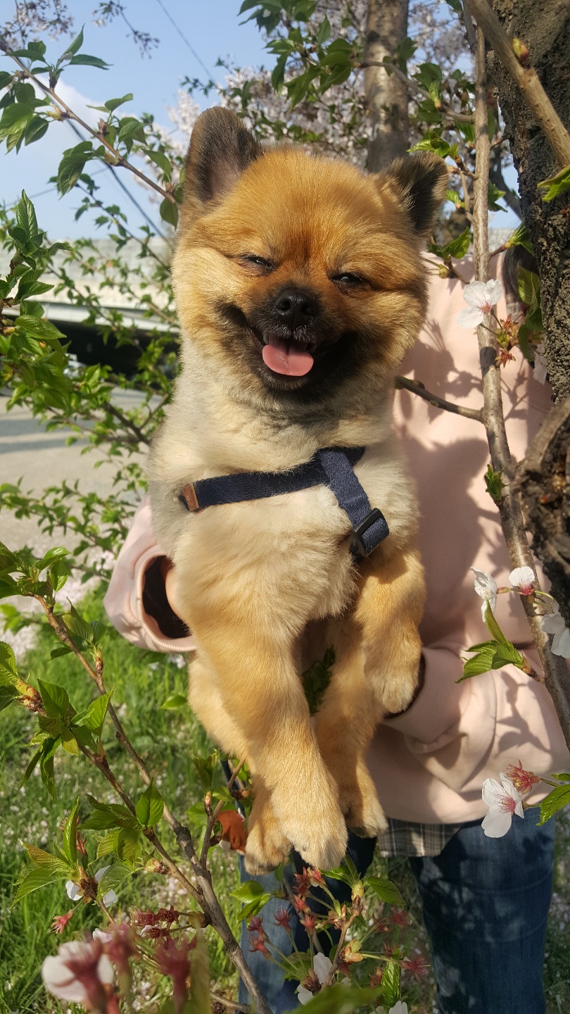 러비와 1년
