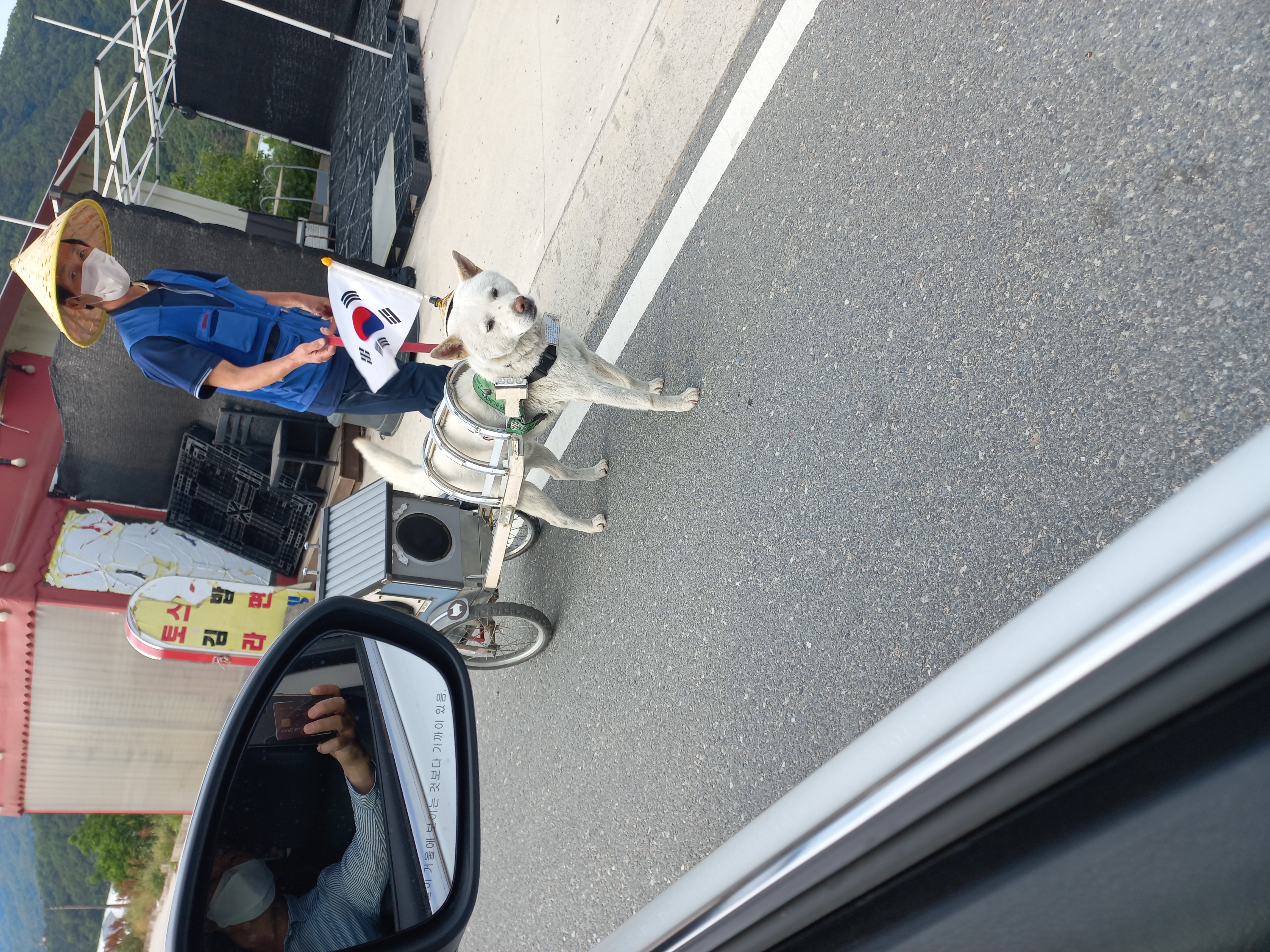 강아지 학대