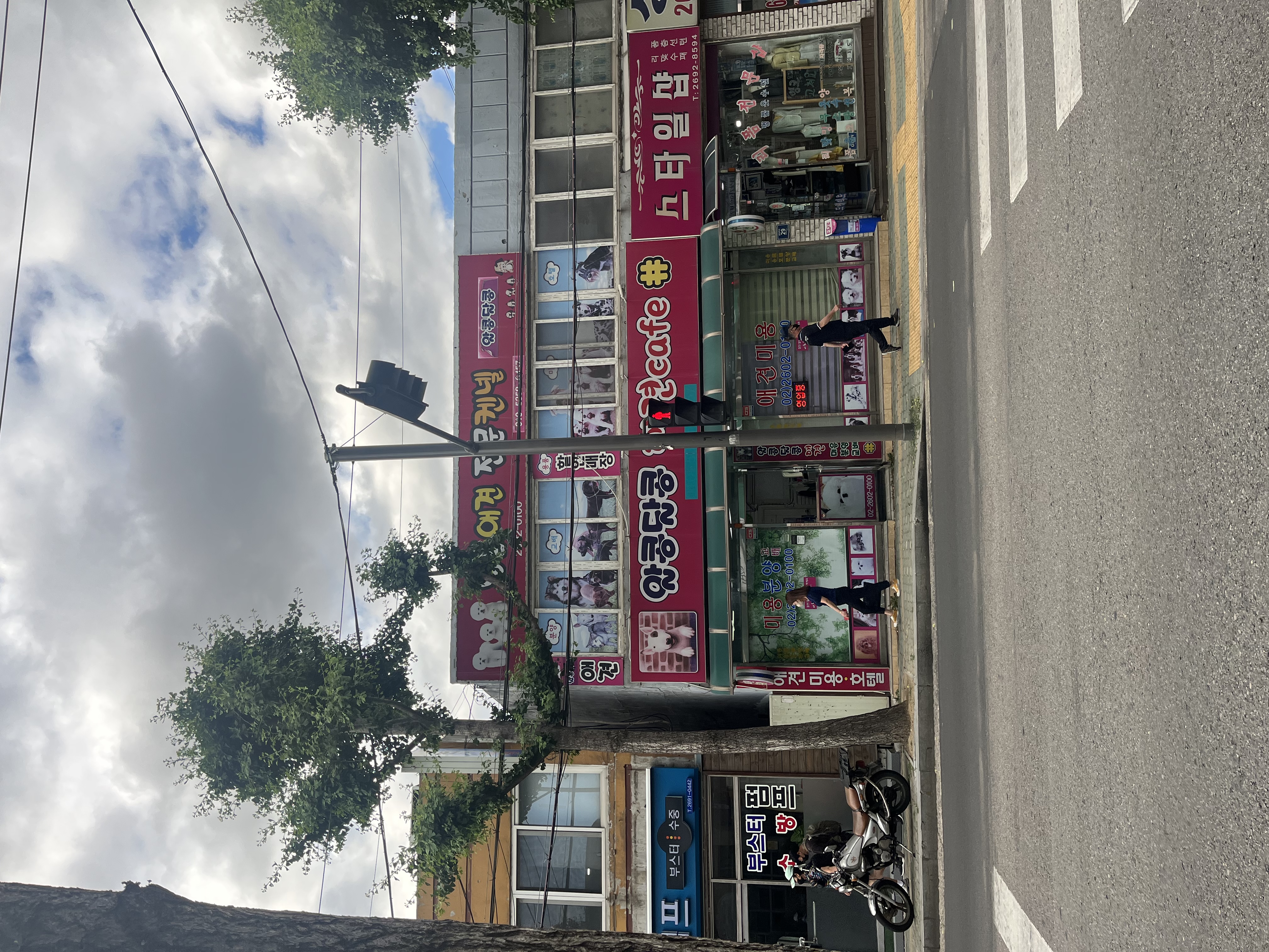 불법교배 펫샵 의심되요 ..